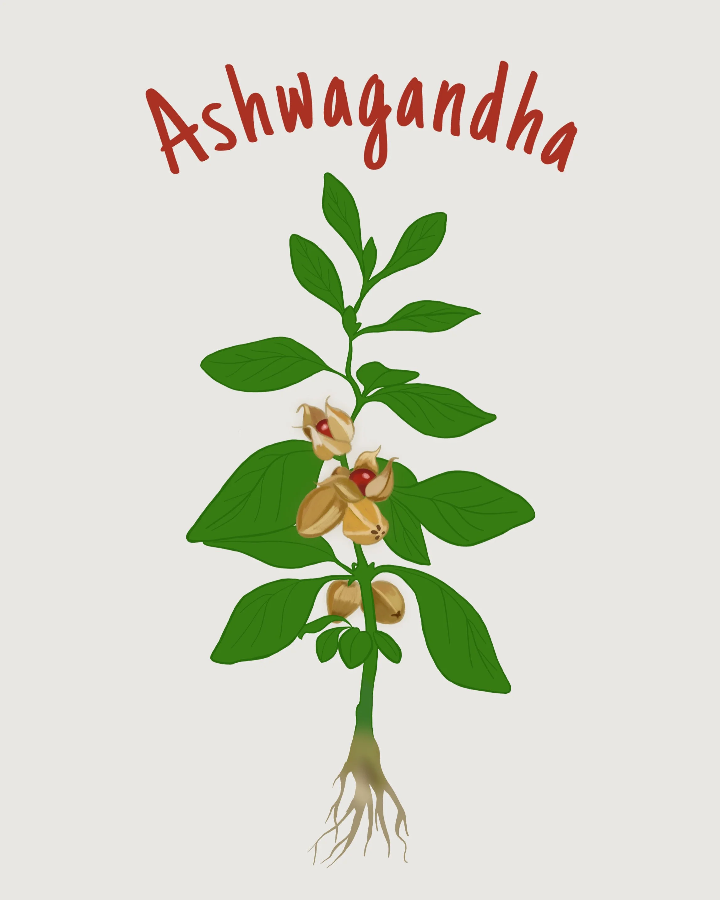 ashwagandha.JPEG