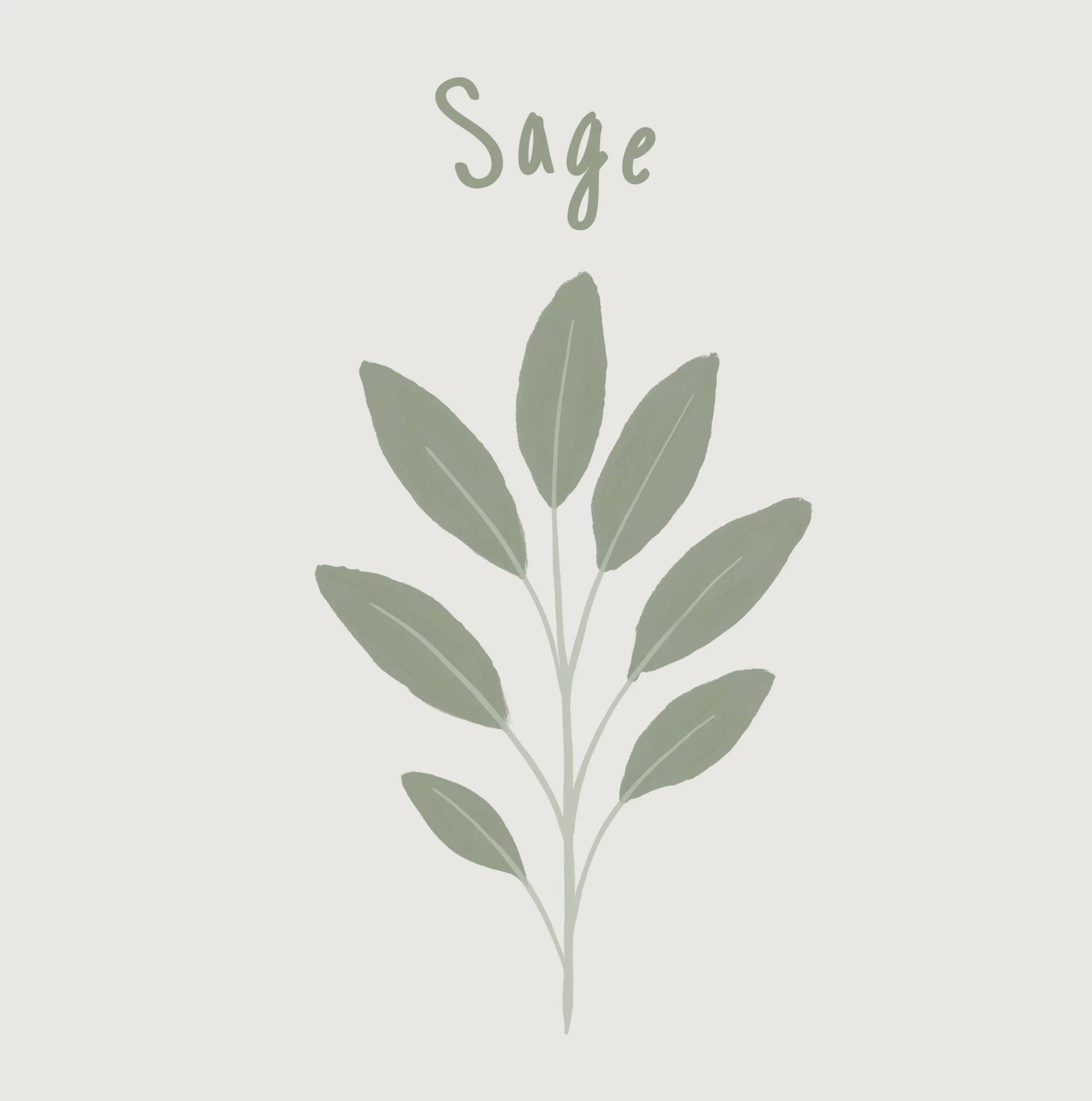 Sage.jpg
