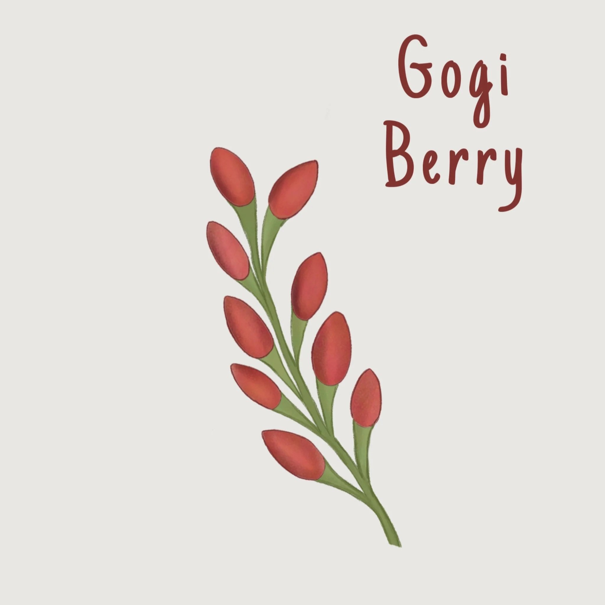 goji+berry.jpg