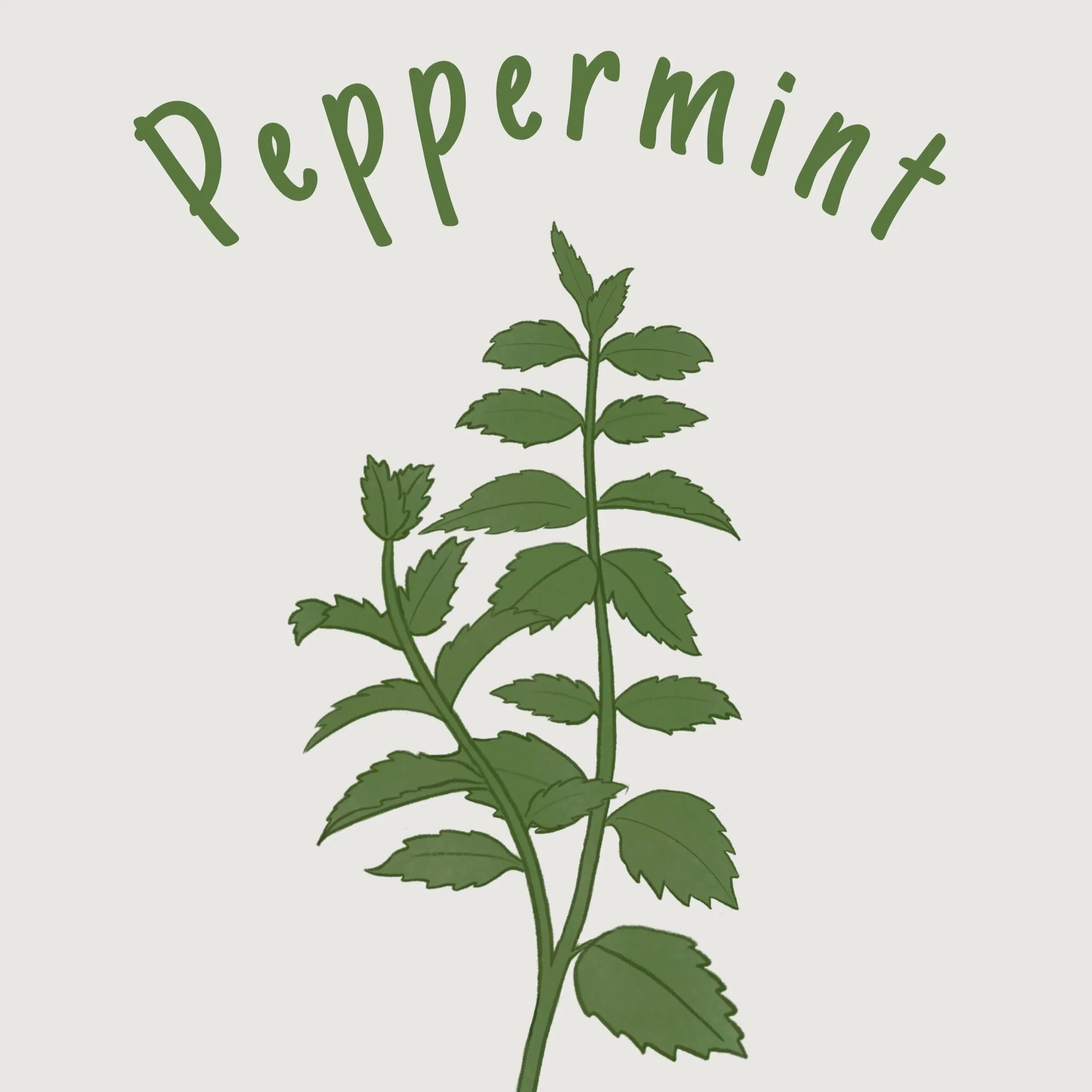 Peppermint