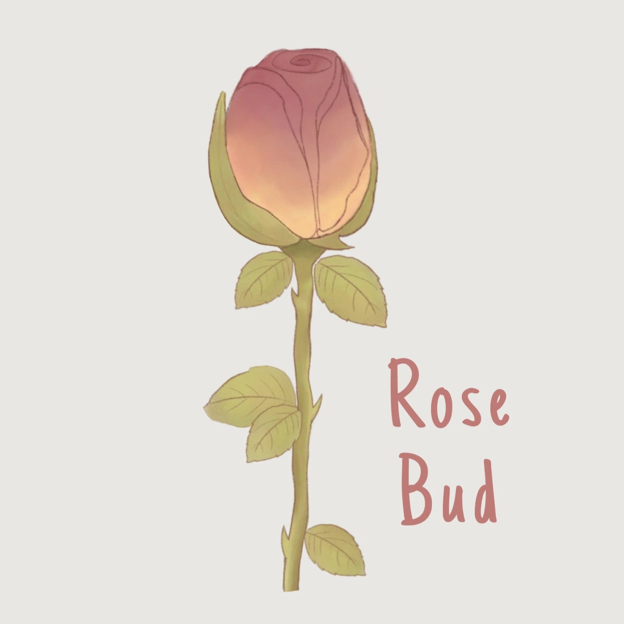 rosebud.jpg