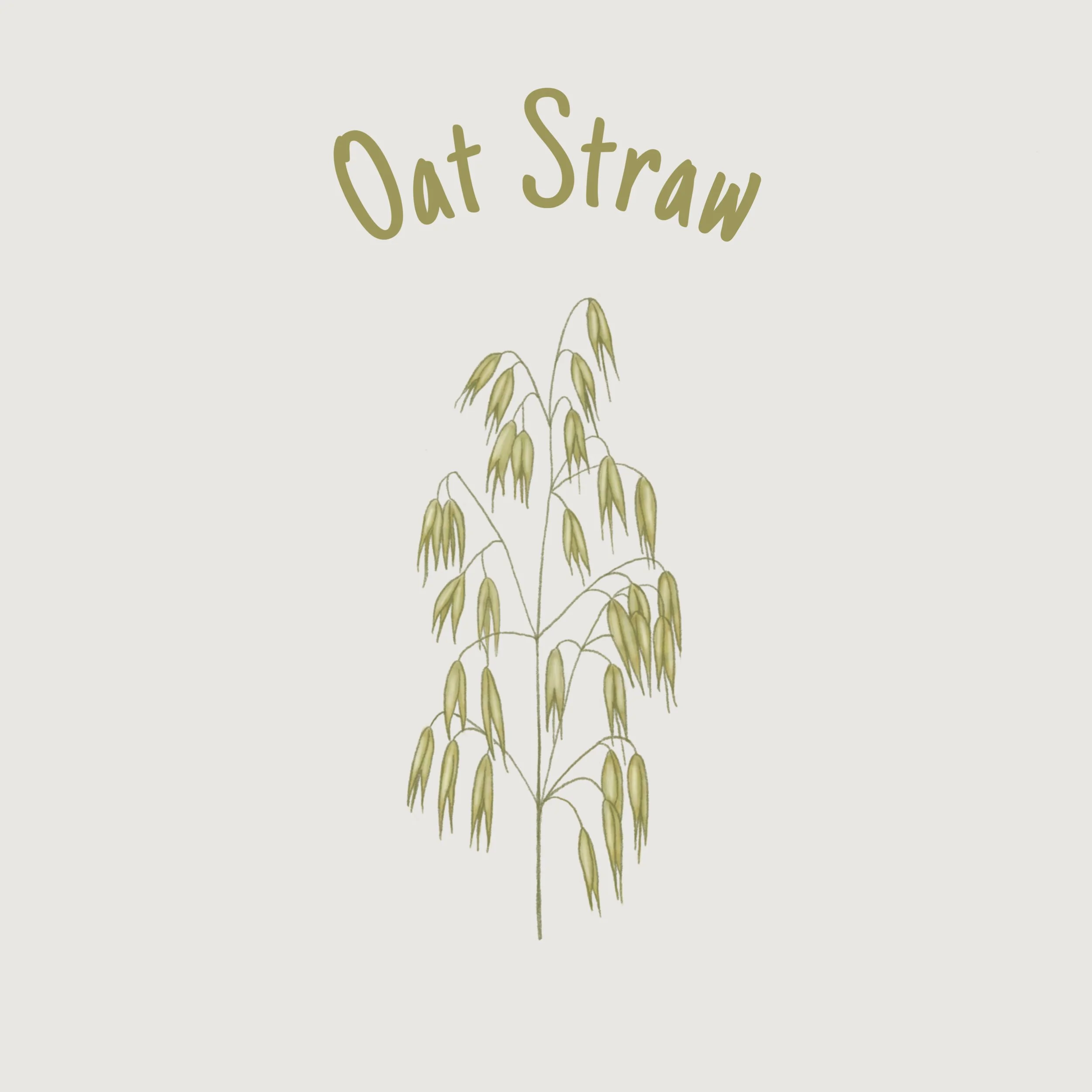 Oat Straw.jpg