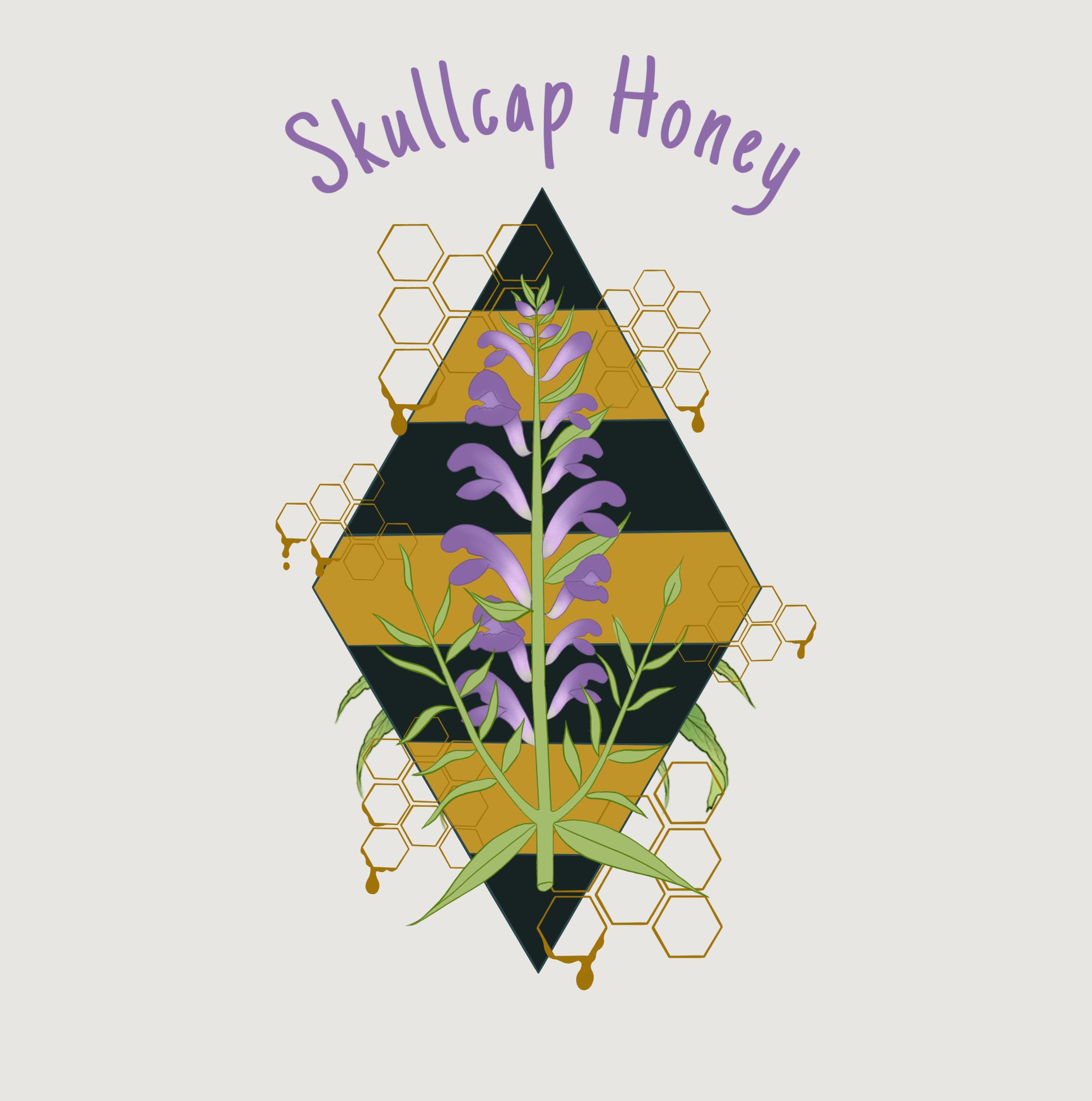 Skullcap Honey