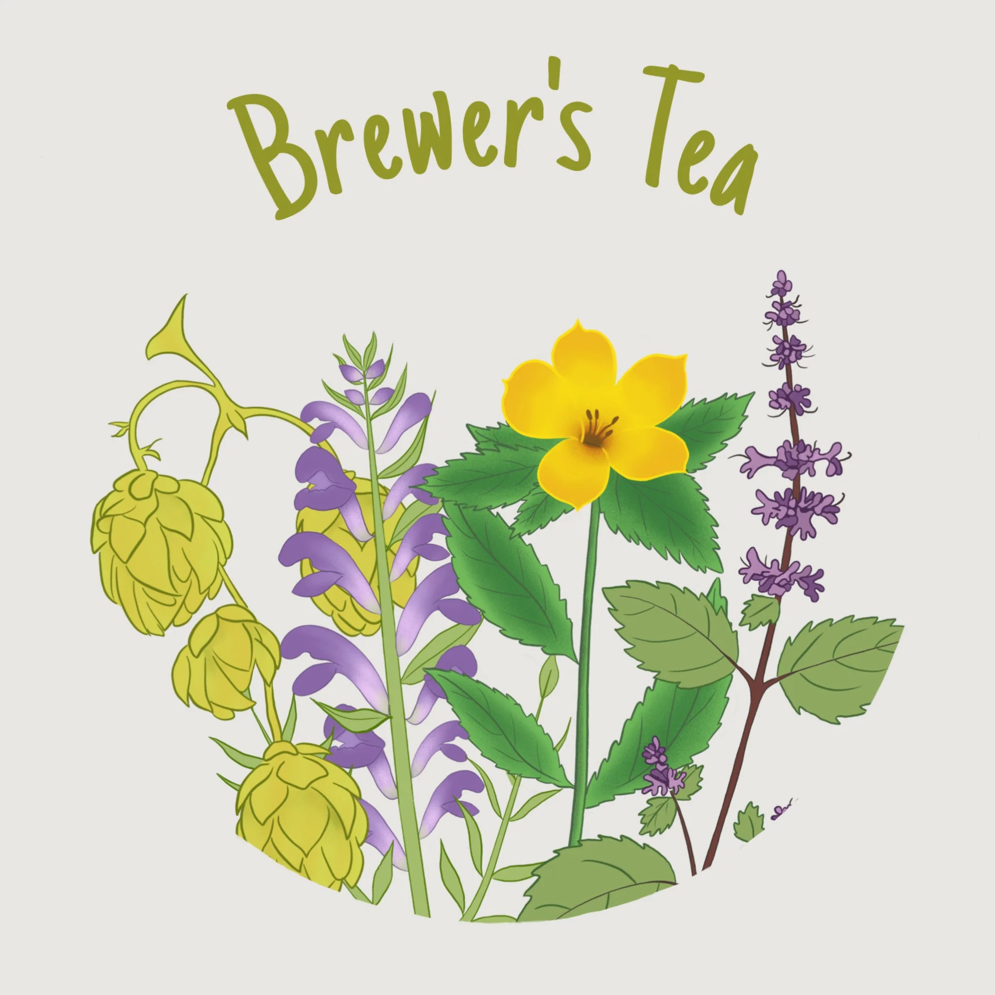 Brewer's Tea (Herbal)