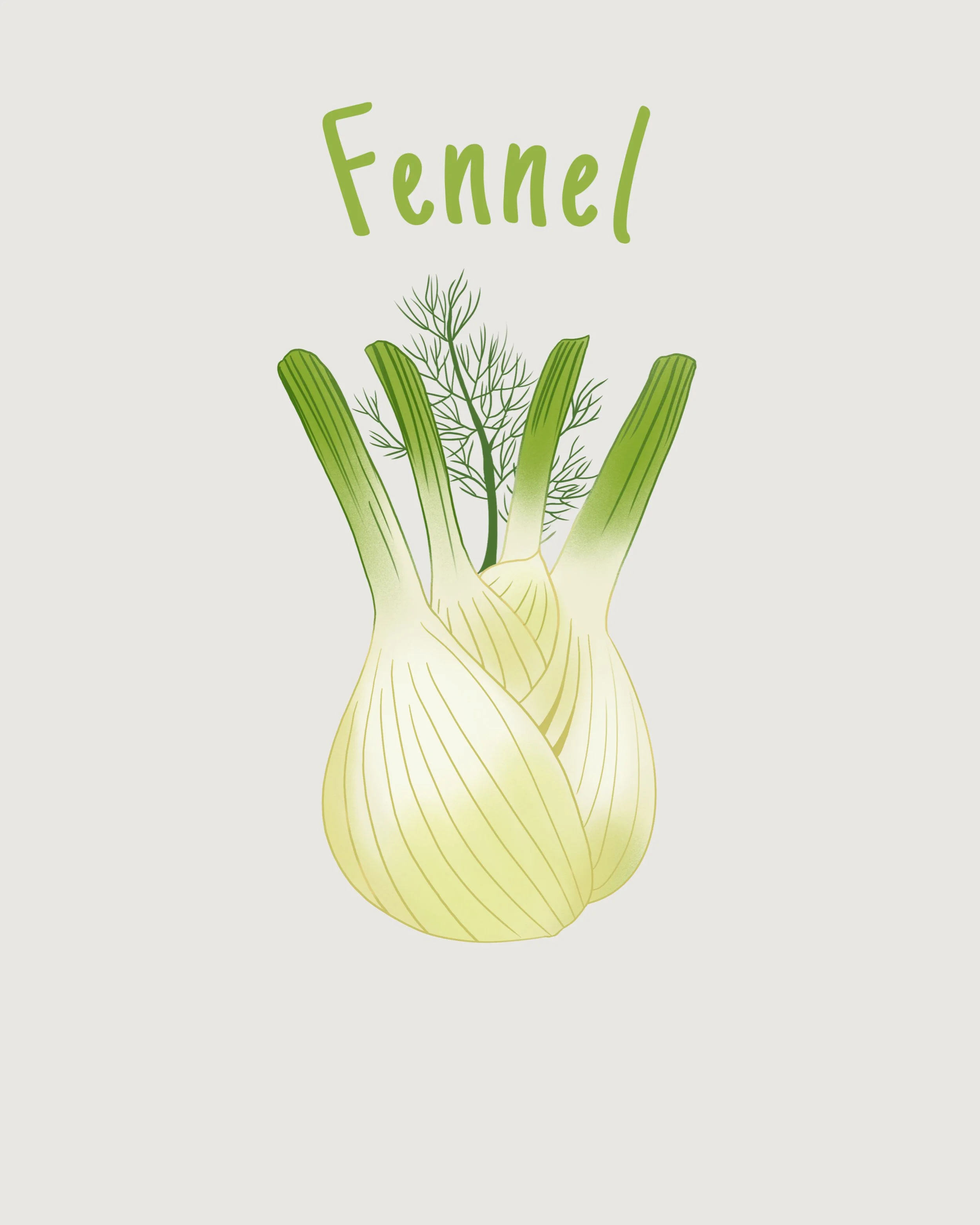 Fennel.jpeg