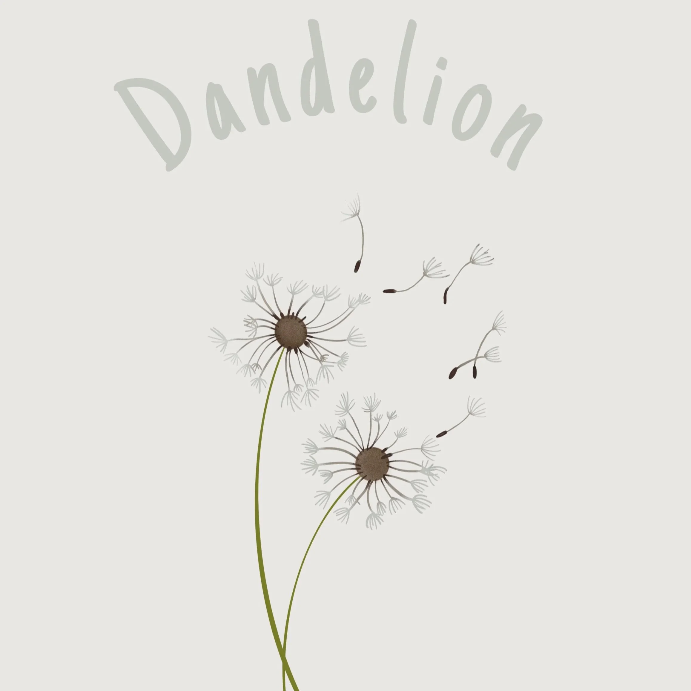 Dandelion+.jpg