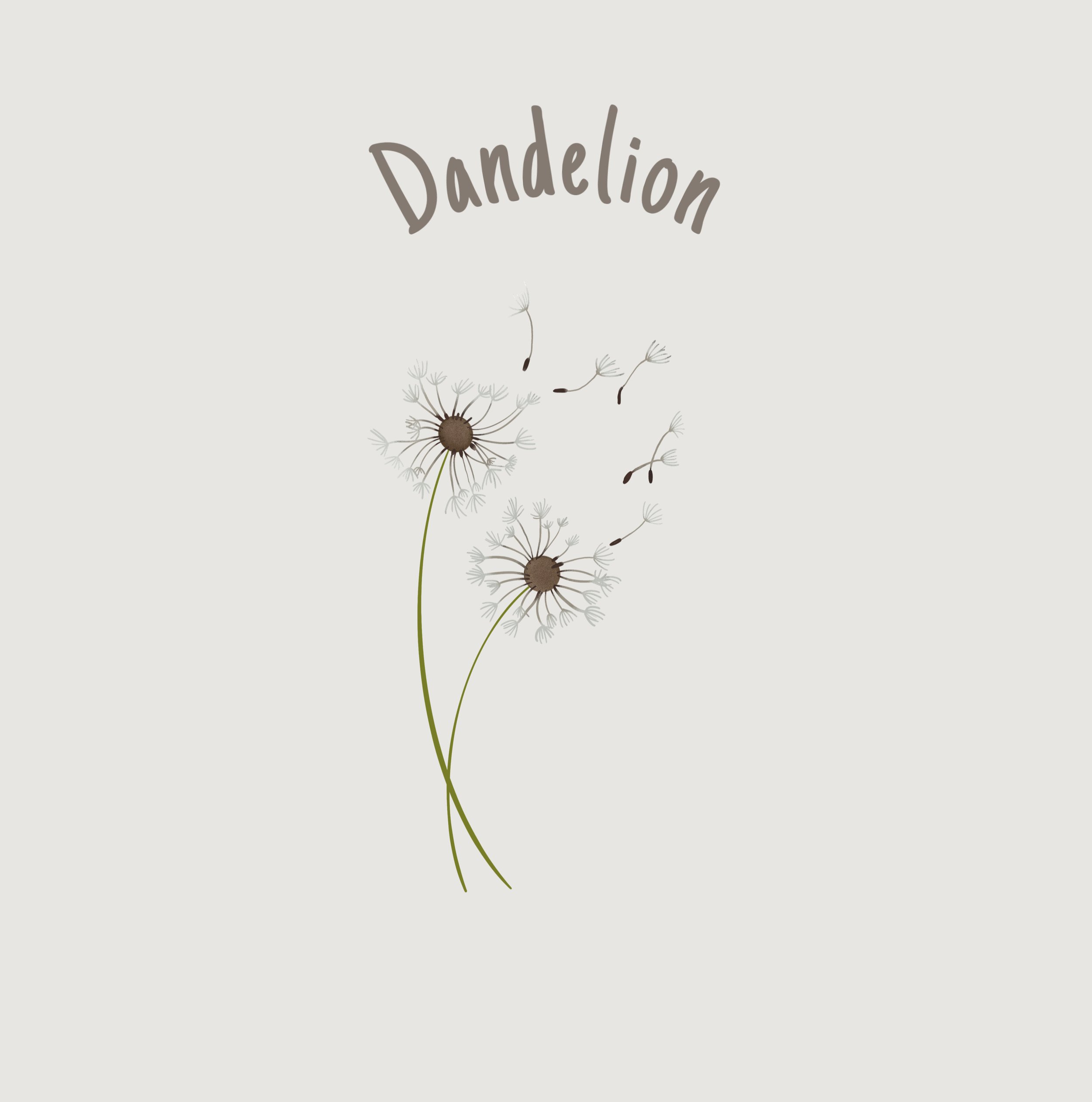Dandelion.jpg