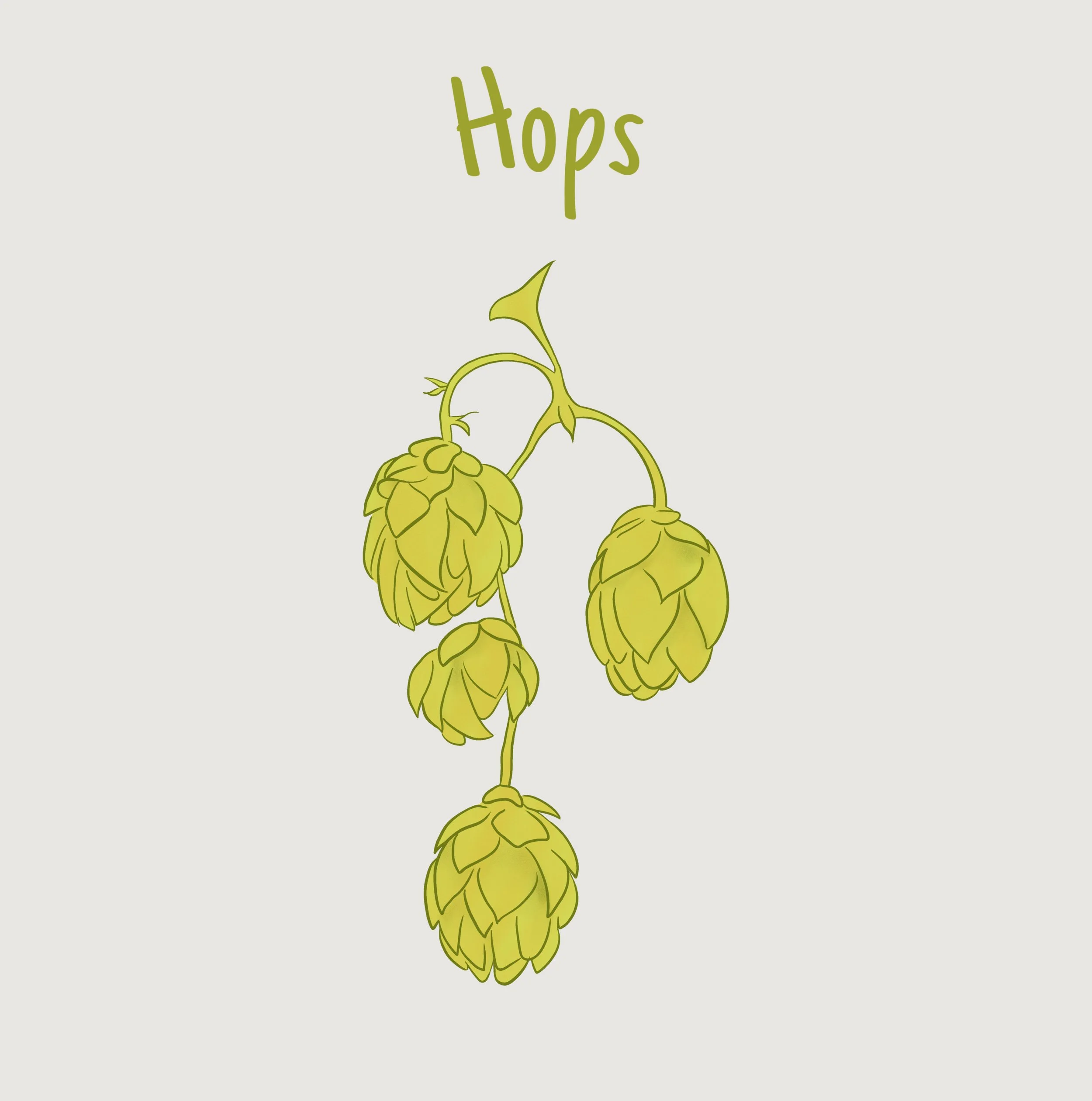 Hops.jpg