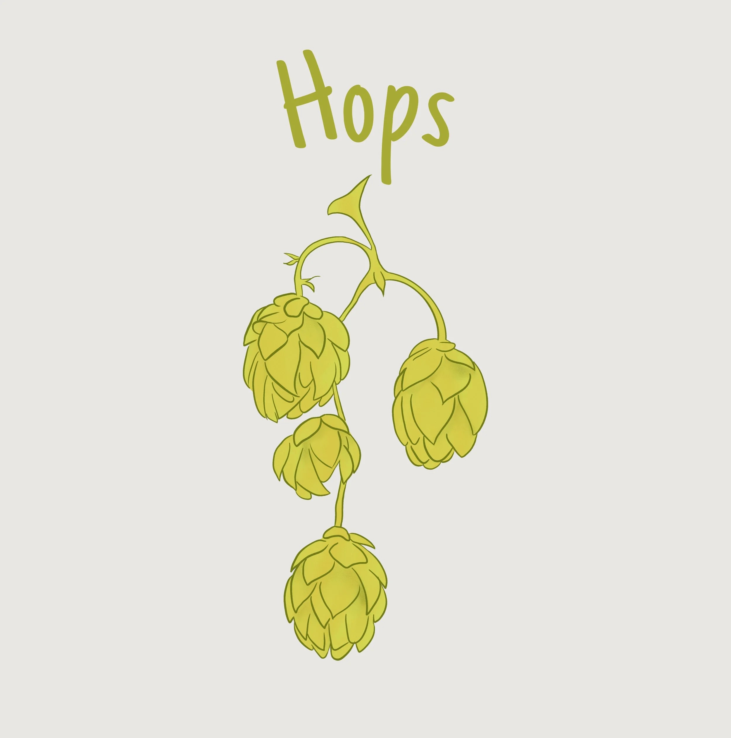 Hops .JPEG