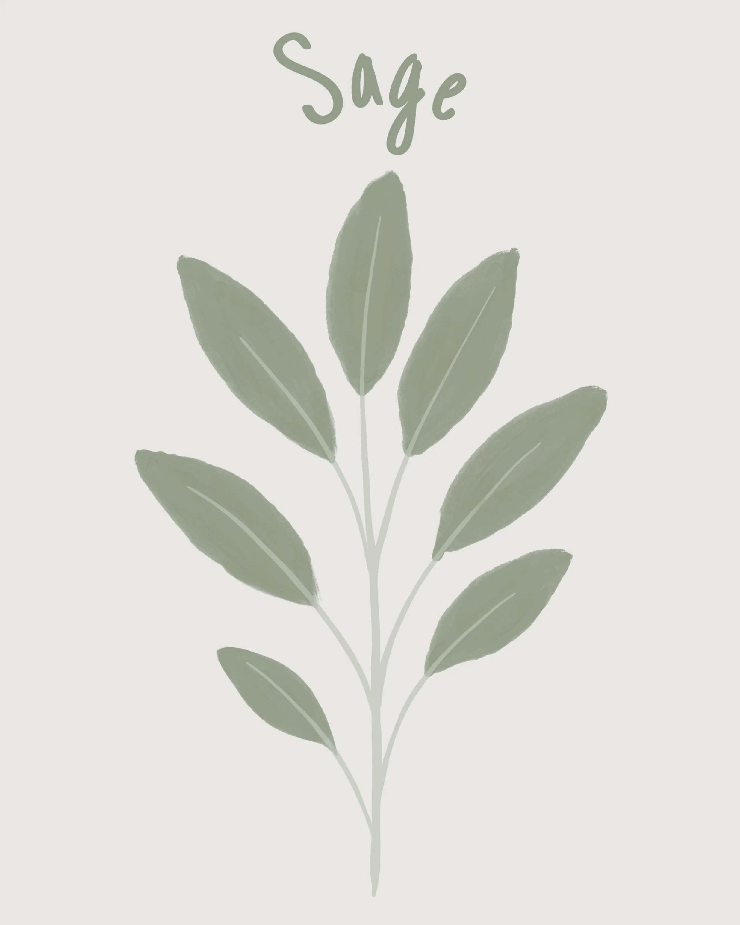 Sage.jpeg