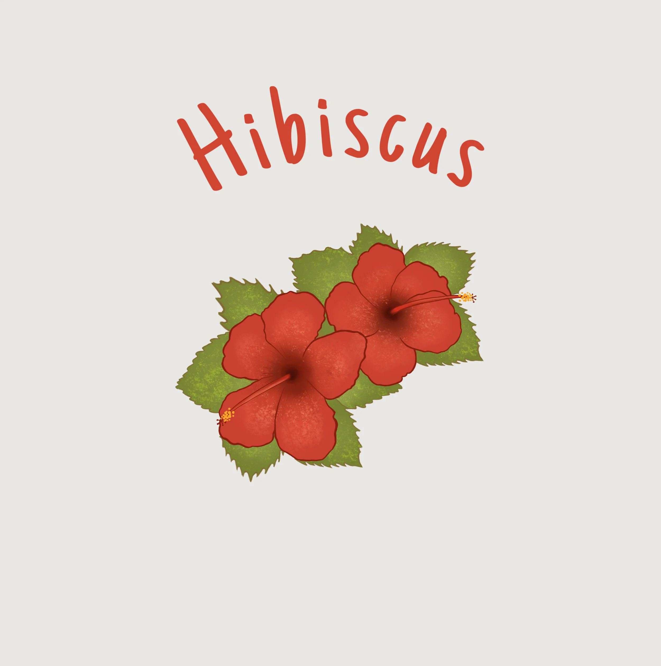Hibiscus.JPEG
