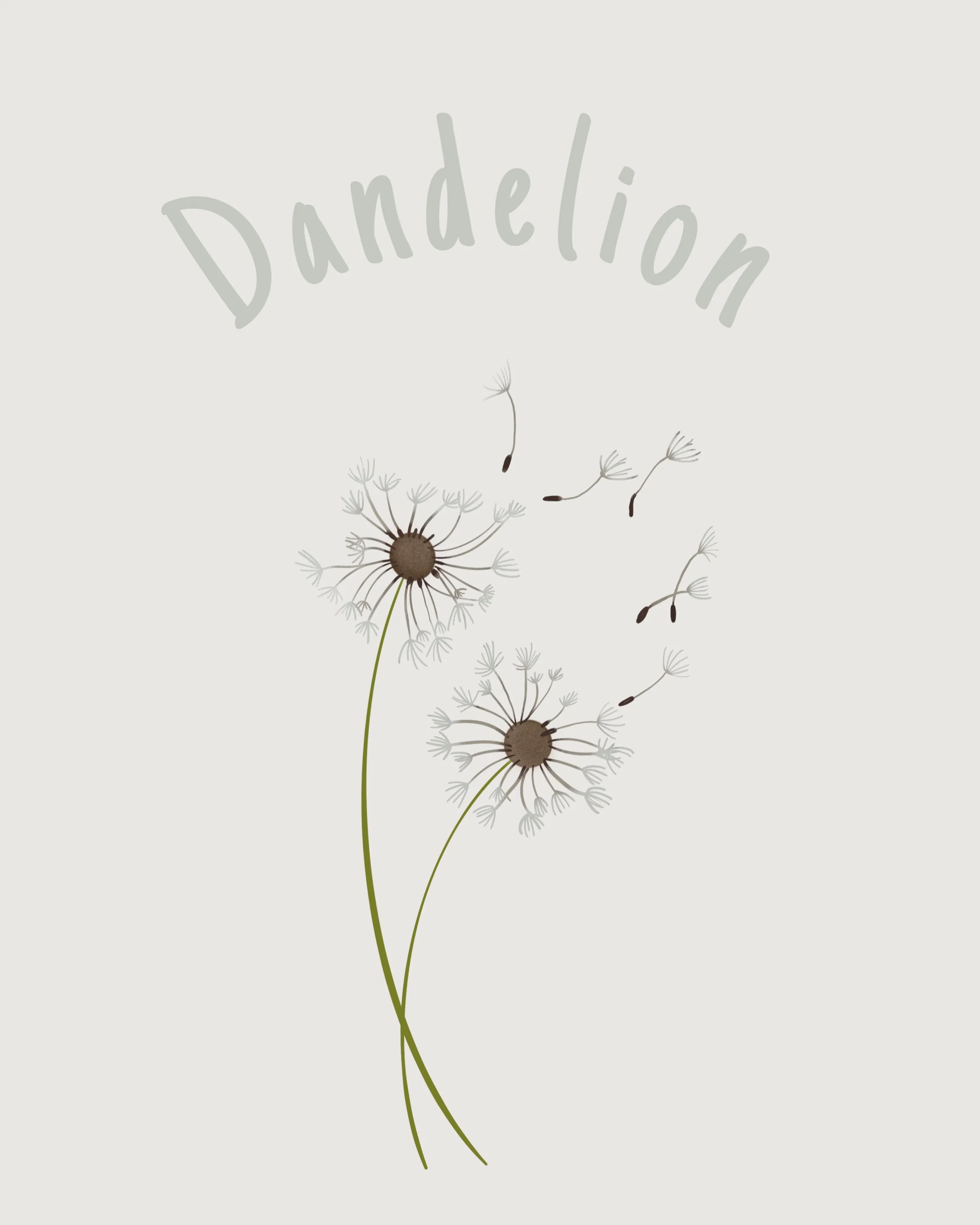 Dandelion .jpeg