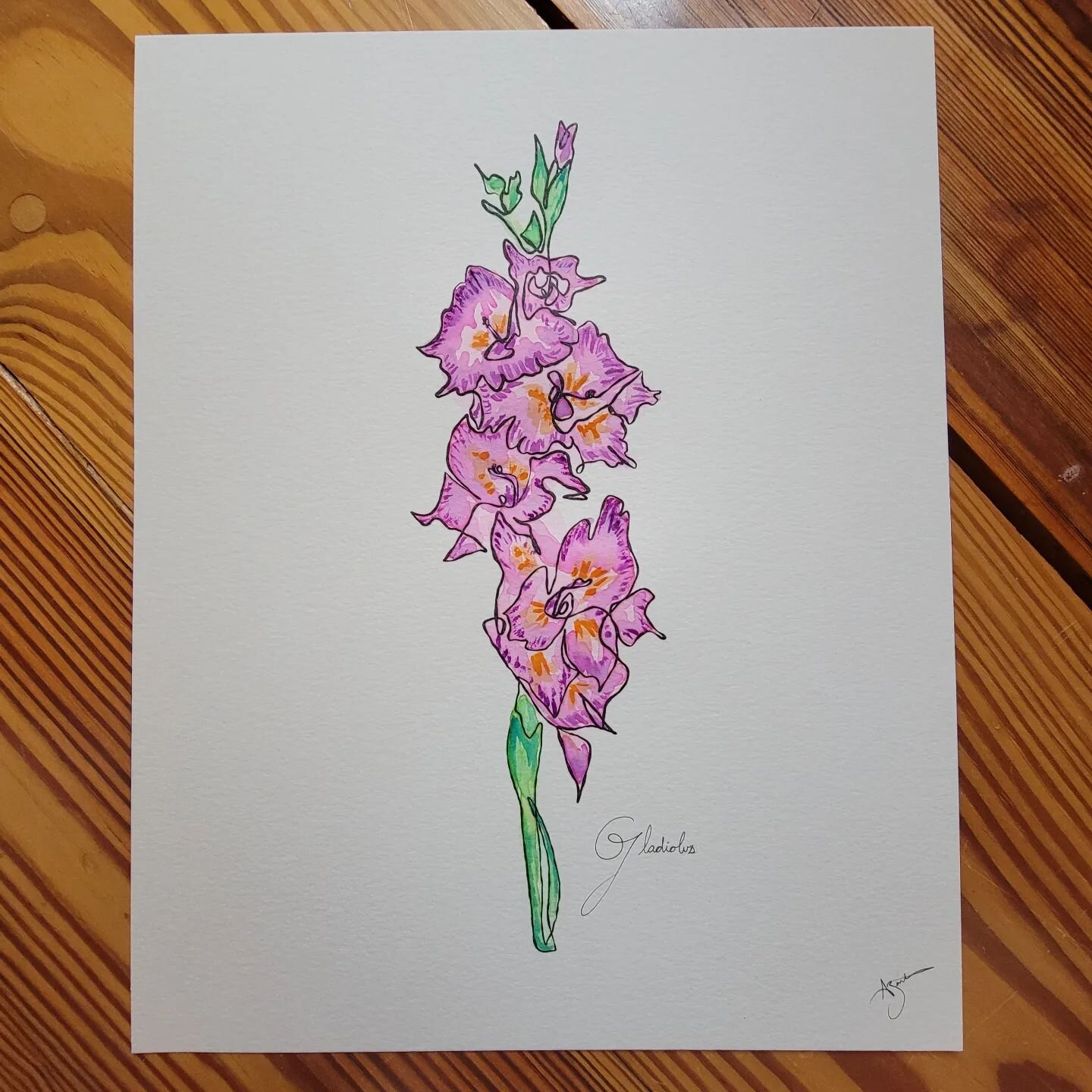 Gladiolus, the August birth flower the symbol of&nbsp;remembrance, calm, integrity, and infatuation

This is a printed copy of my single line drawing which I watercolored 

#torontoartist #torontoart #lineart #linedrawing #singleline #singlelineart #