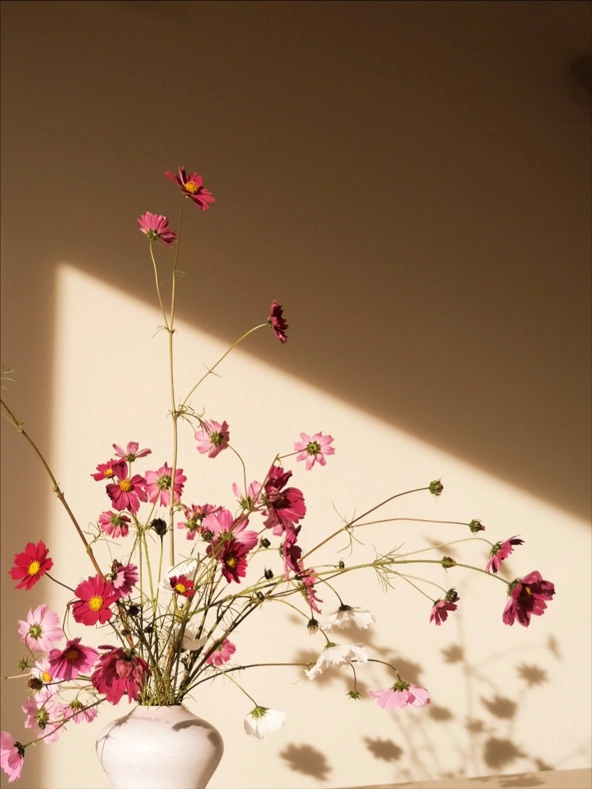 When making this vessel shape, the main thought was to find a shape can complete this easy light composition of beautiful cosmos. 🌸