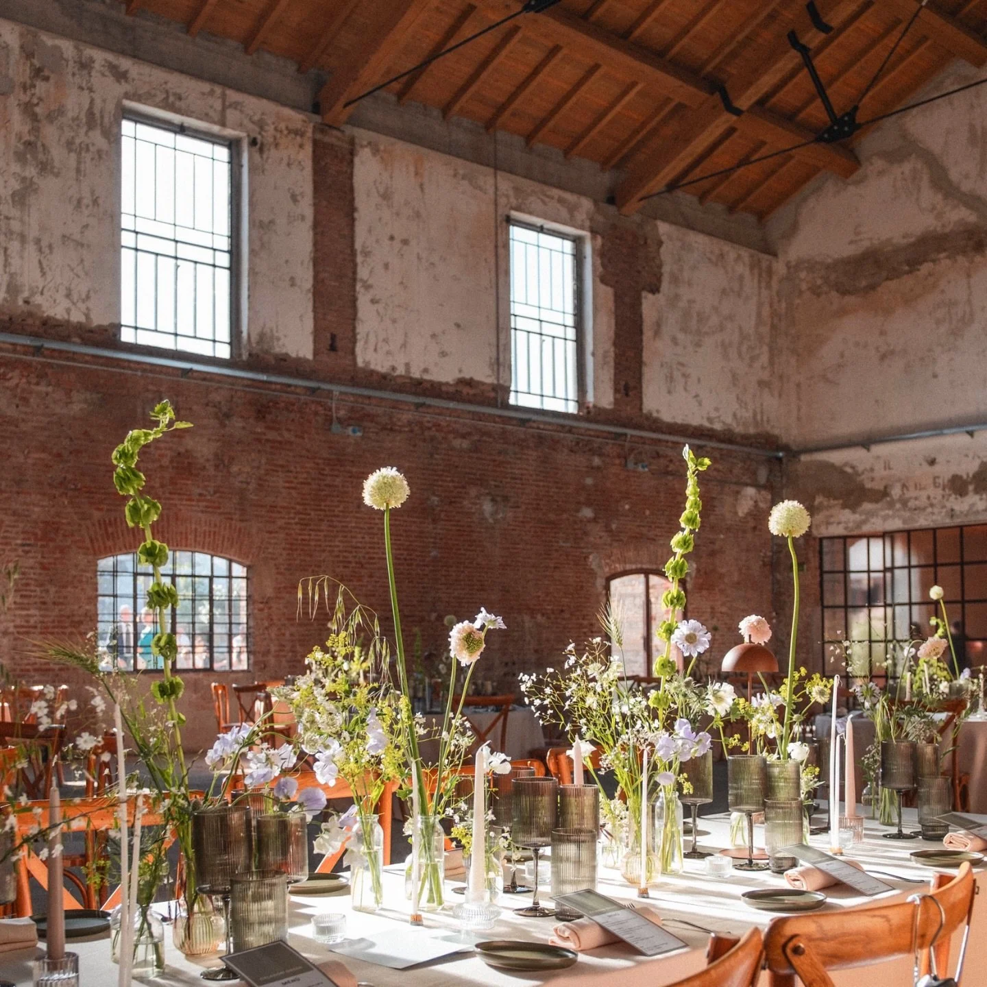 Flowers &amp; Natural Light 🤍☘️