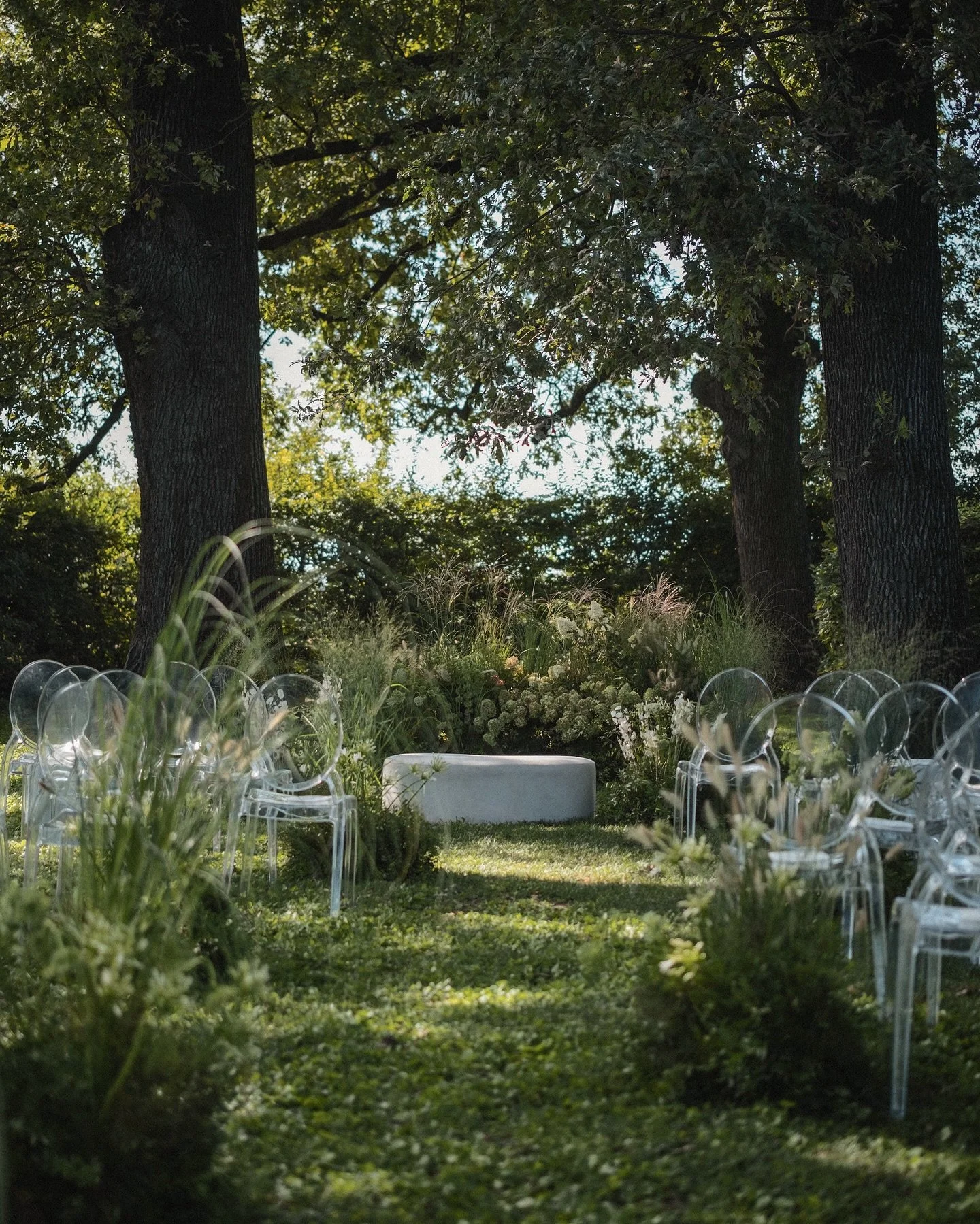 harmony with nature design 🍀🌿☘️