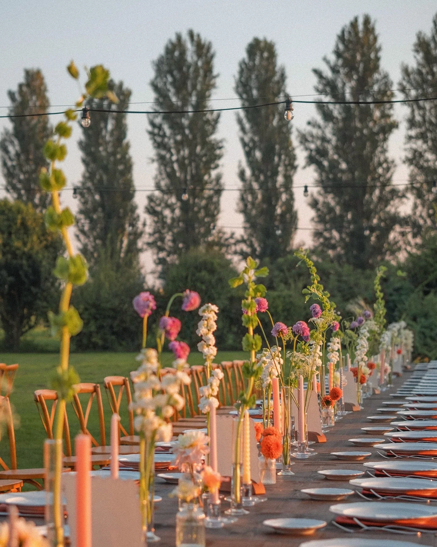 ☘️🌸 Sunset celebration times @cascinacastelletto 🧡