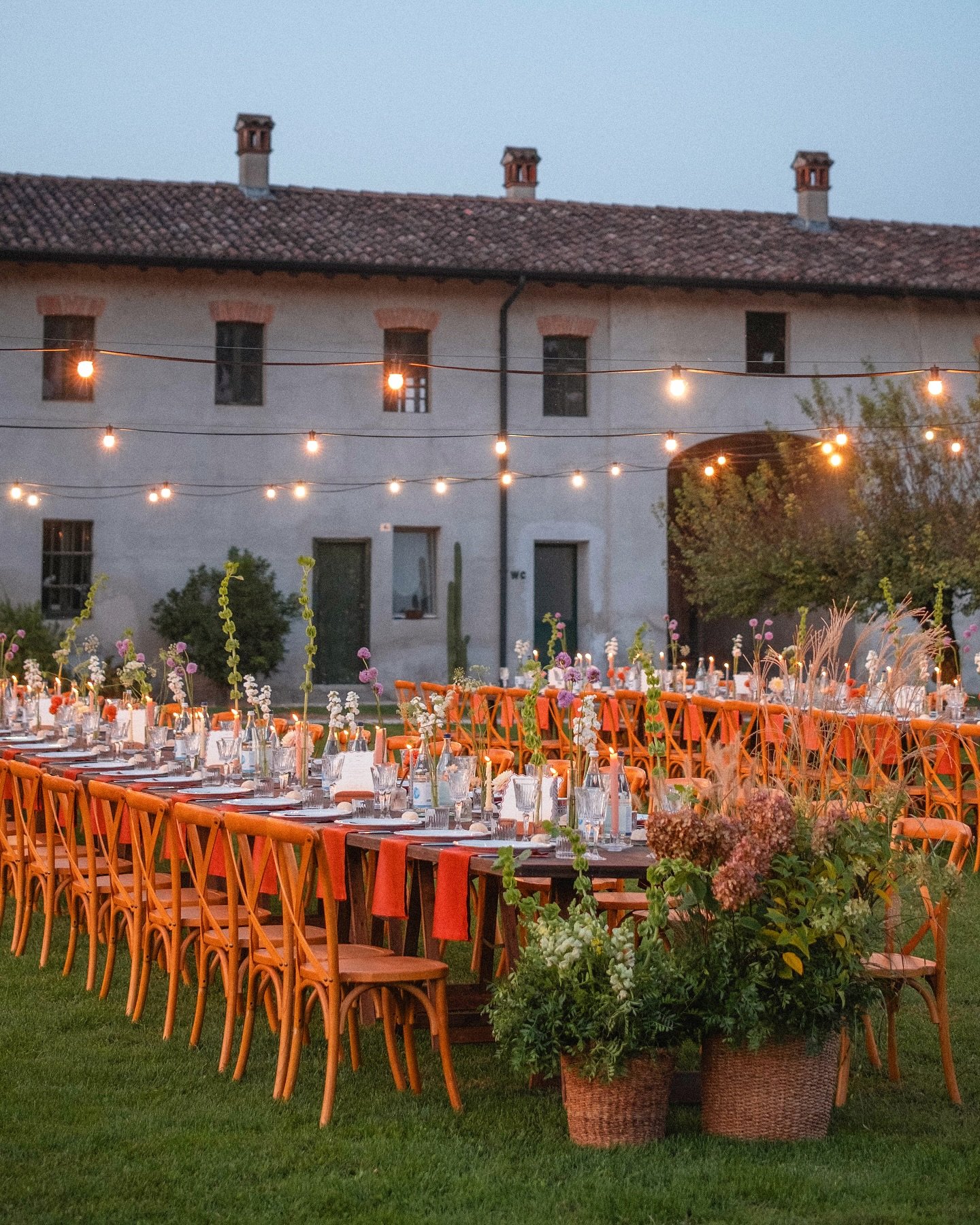 Golden hour colorful celebration 🌸