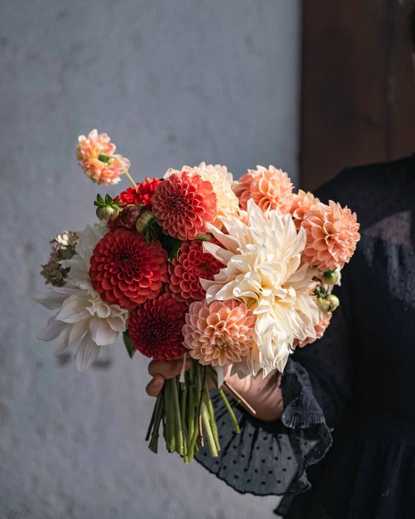 Always nice to gather different dahlias from the flowers beds 🌸