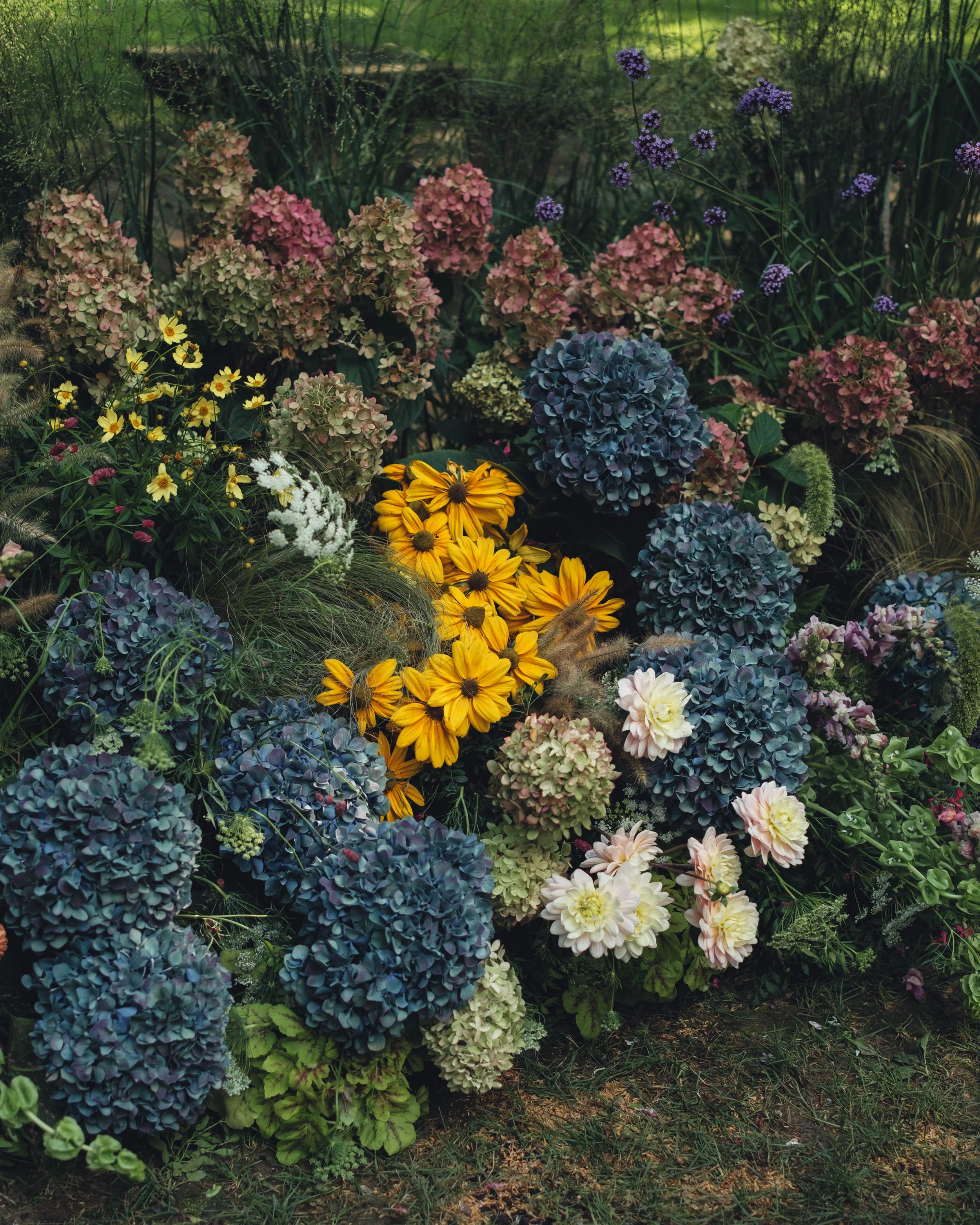 DSCF5959.jpg
