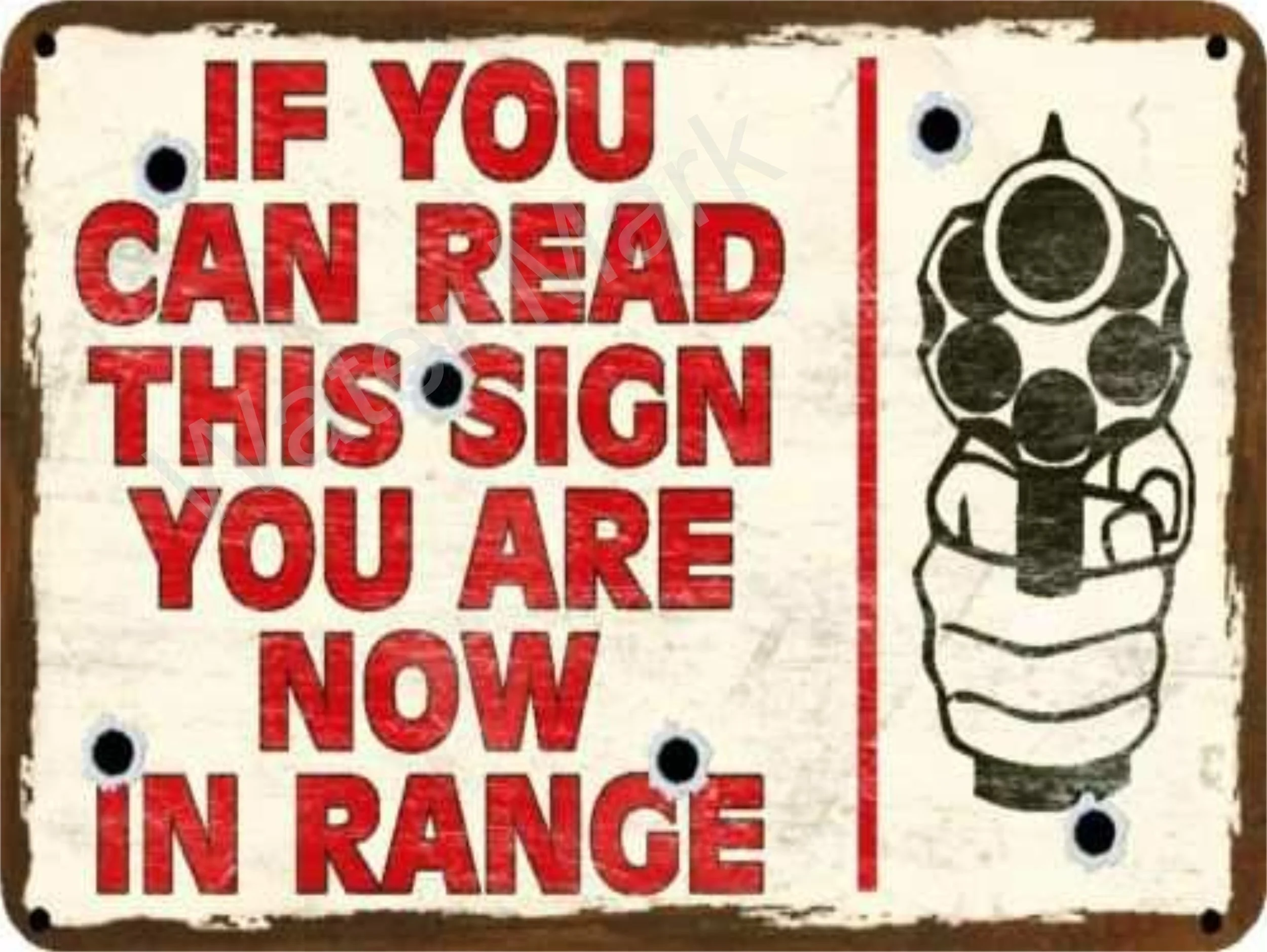 If You can Read This sign You Are Now In Range,  9''x12'' Metal, Aluminum Sign