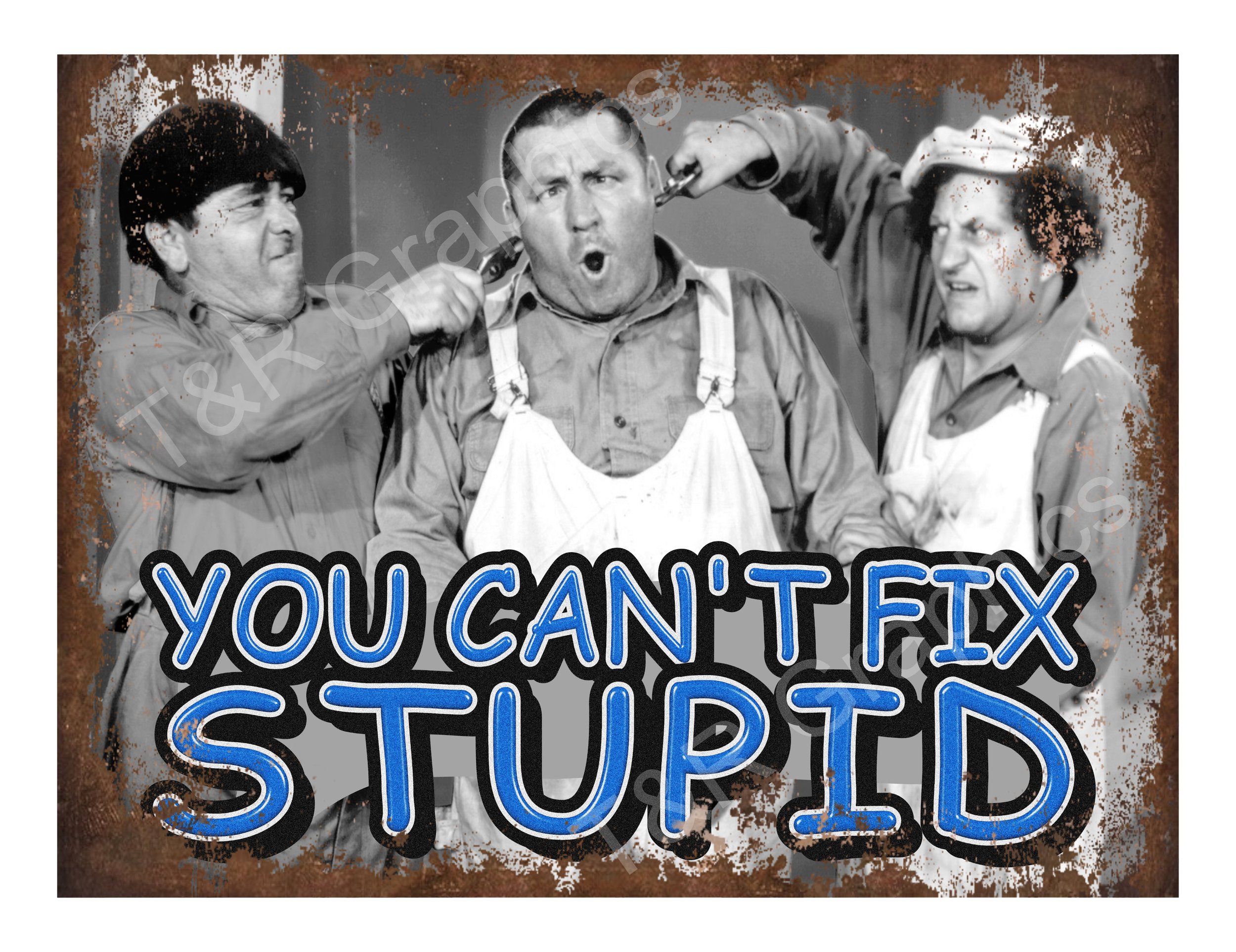 Can't Fix Stupid 9x12.jpg