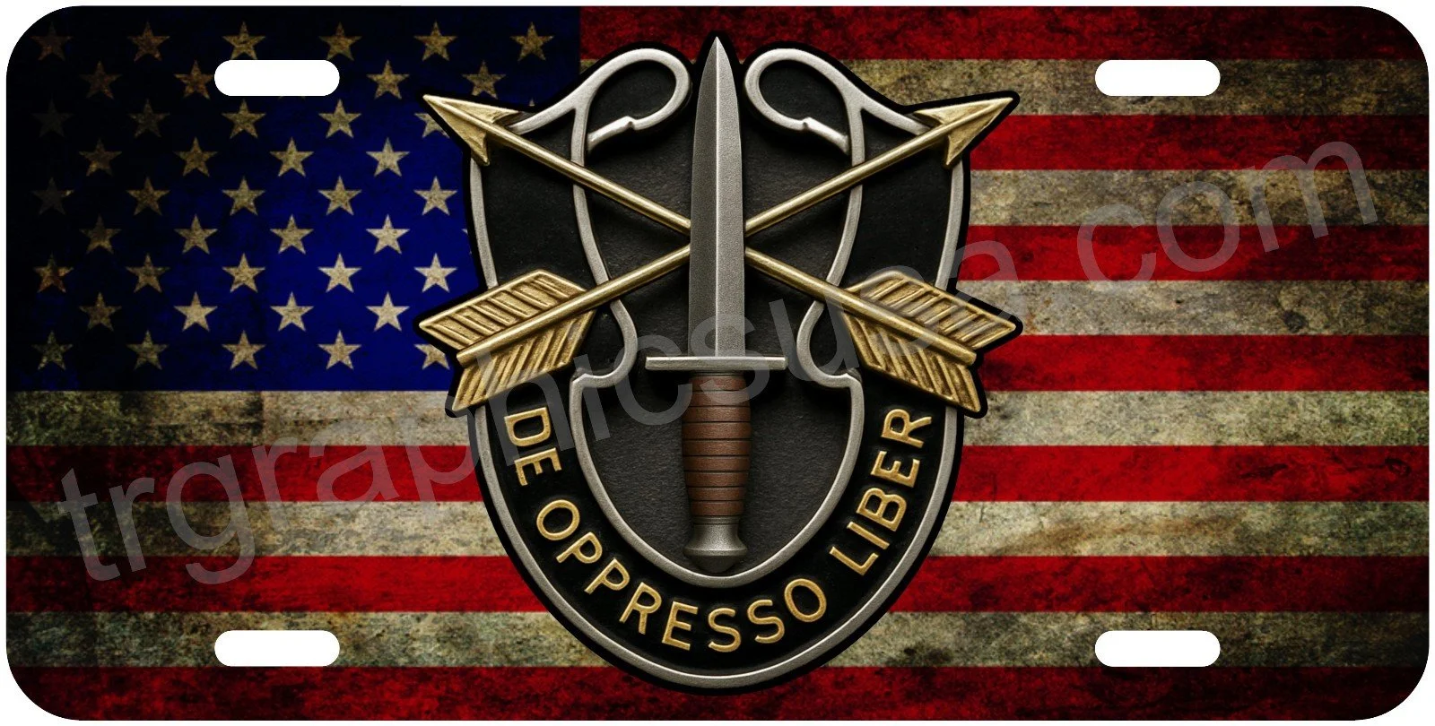 Special Forces lp American flag.jpg