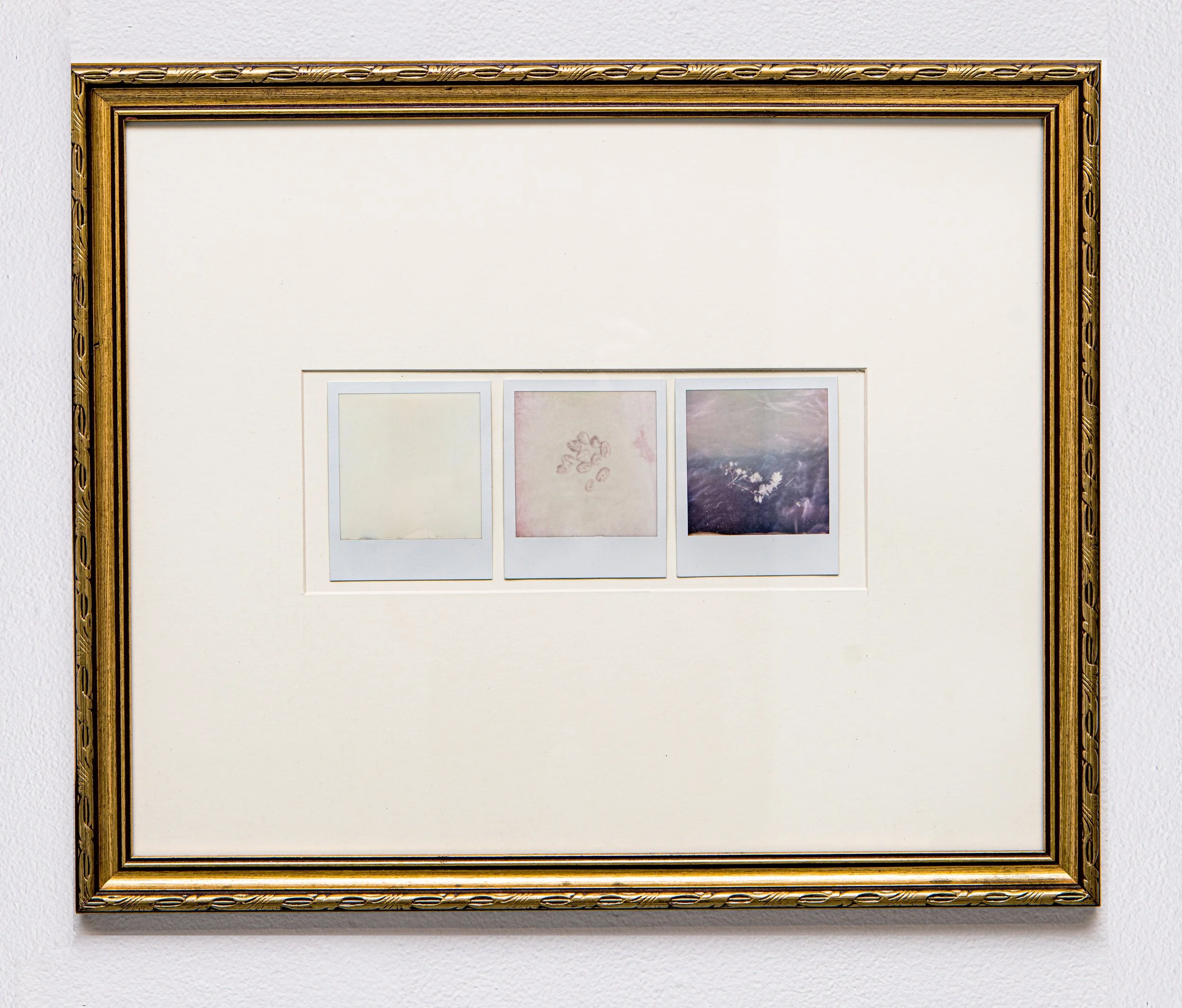 Baypoint offering, 2022