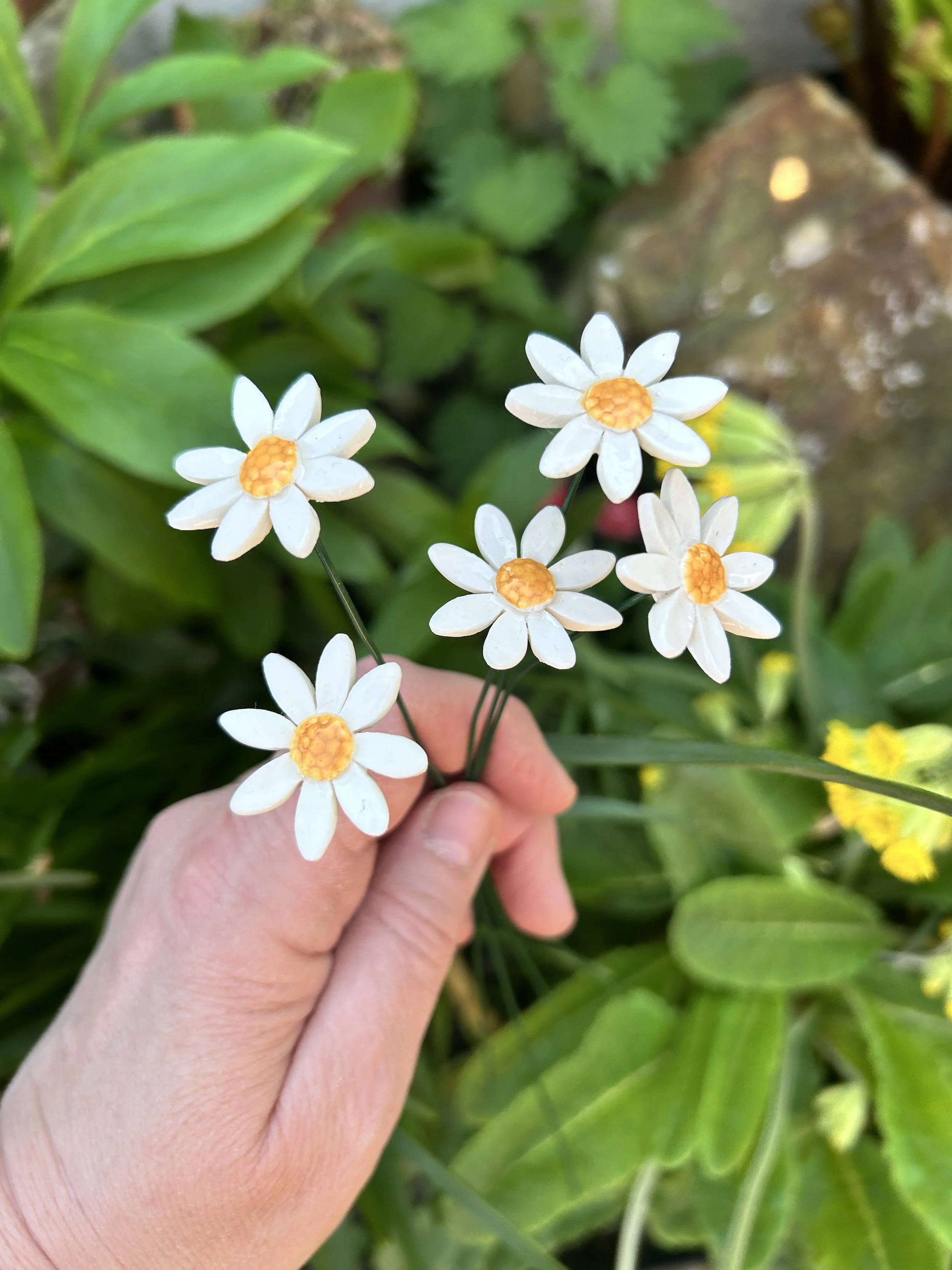 daisy 3.jpeg