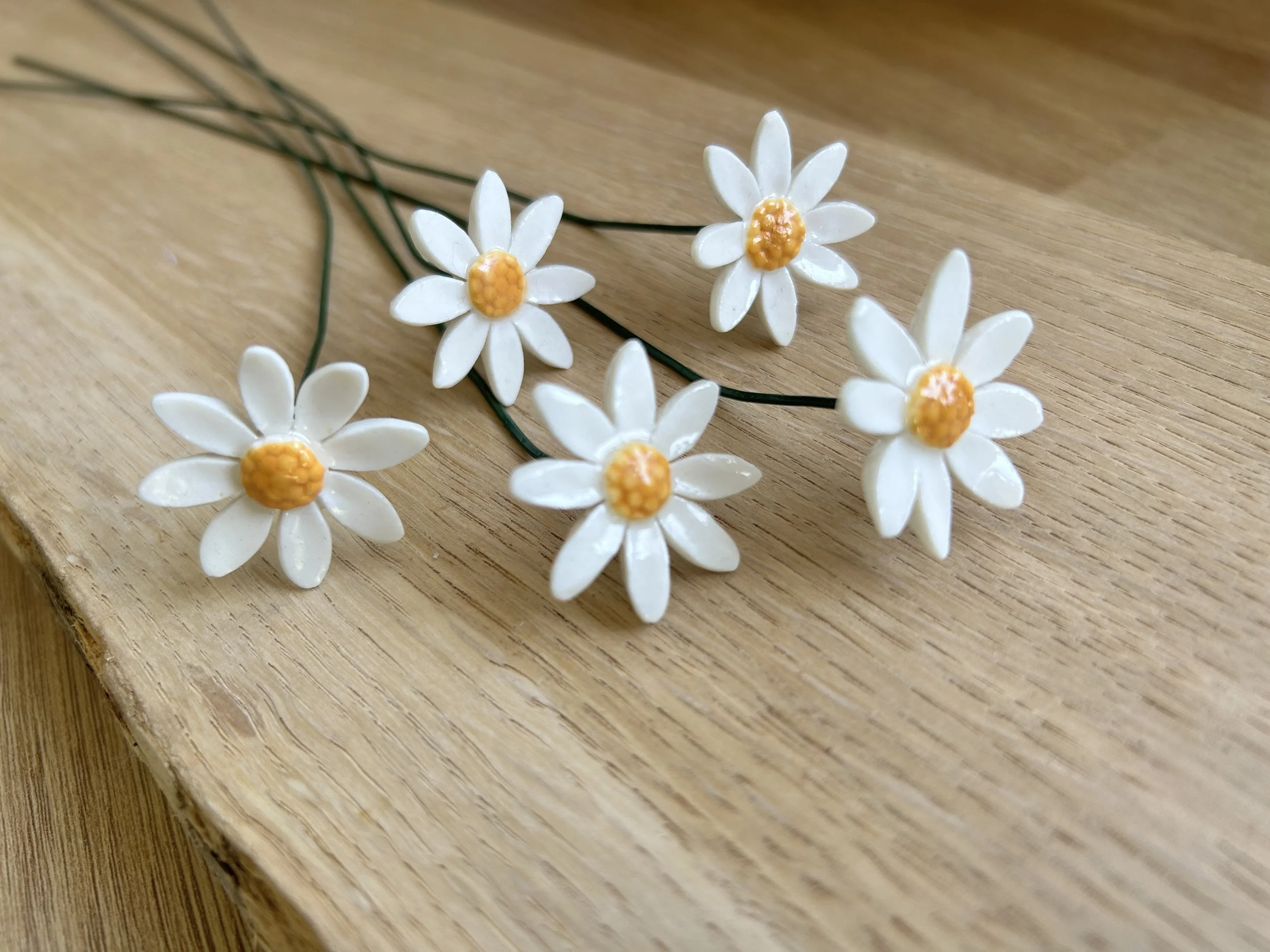 daisy.jpeg