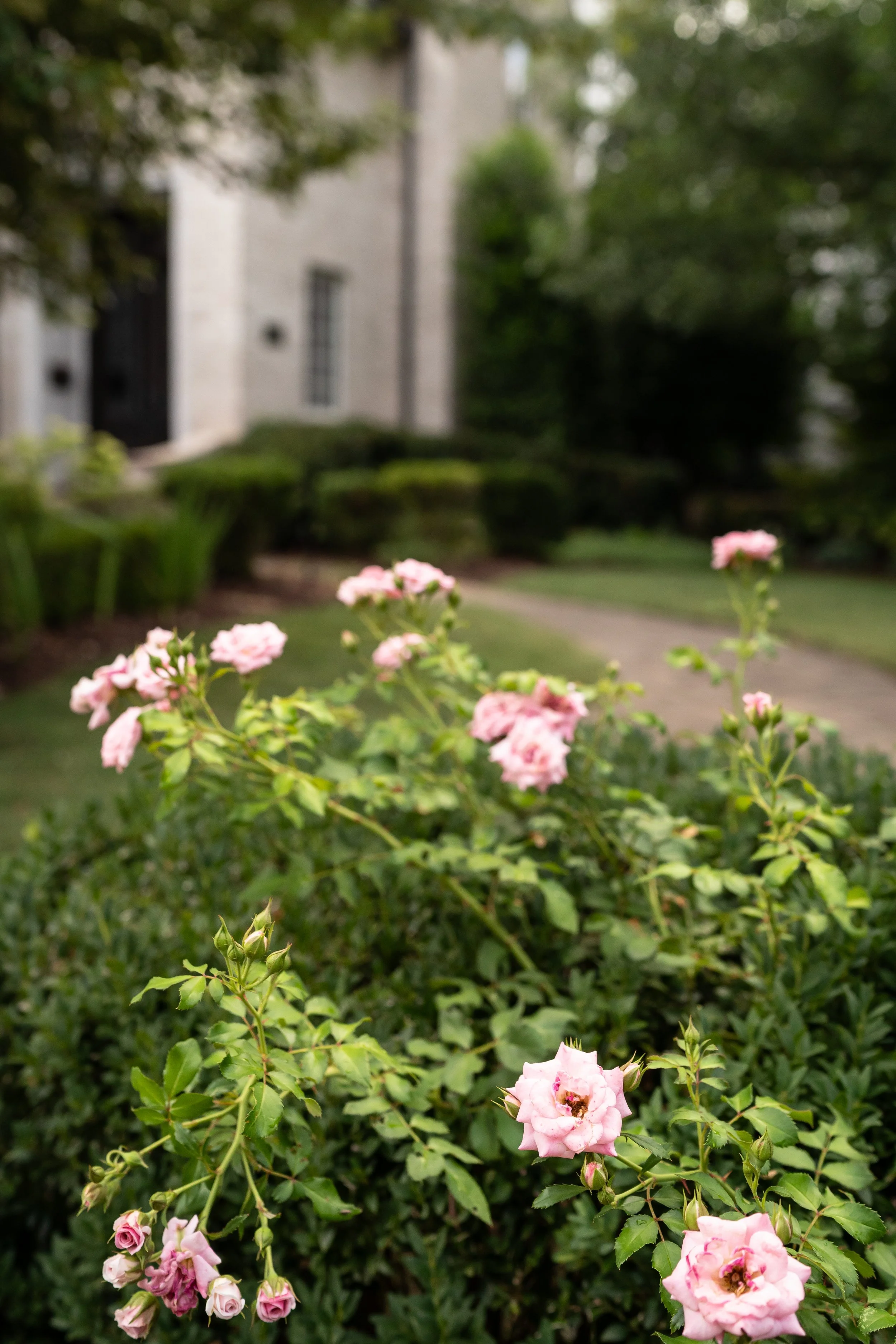 exterior-detail-flowers.jpg
