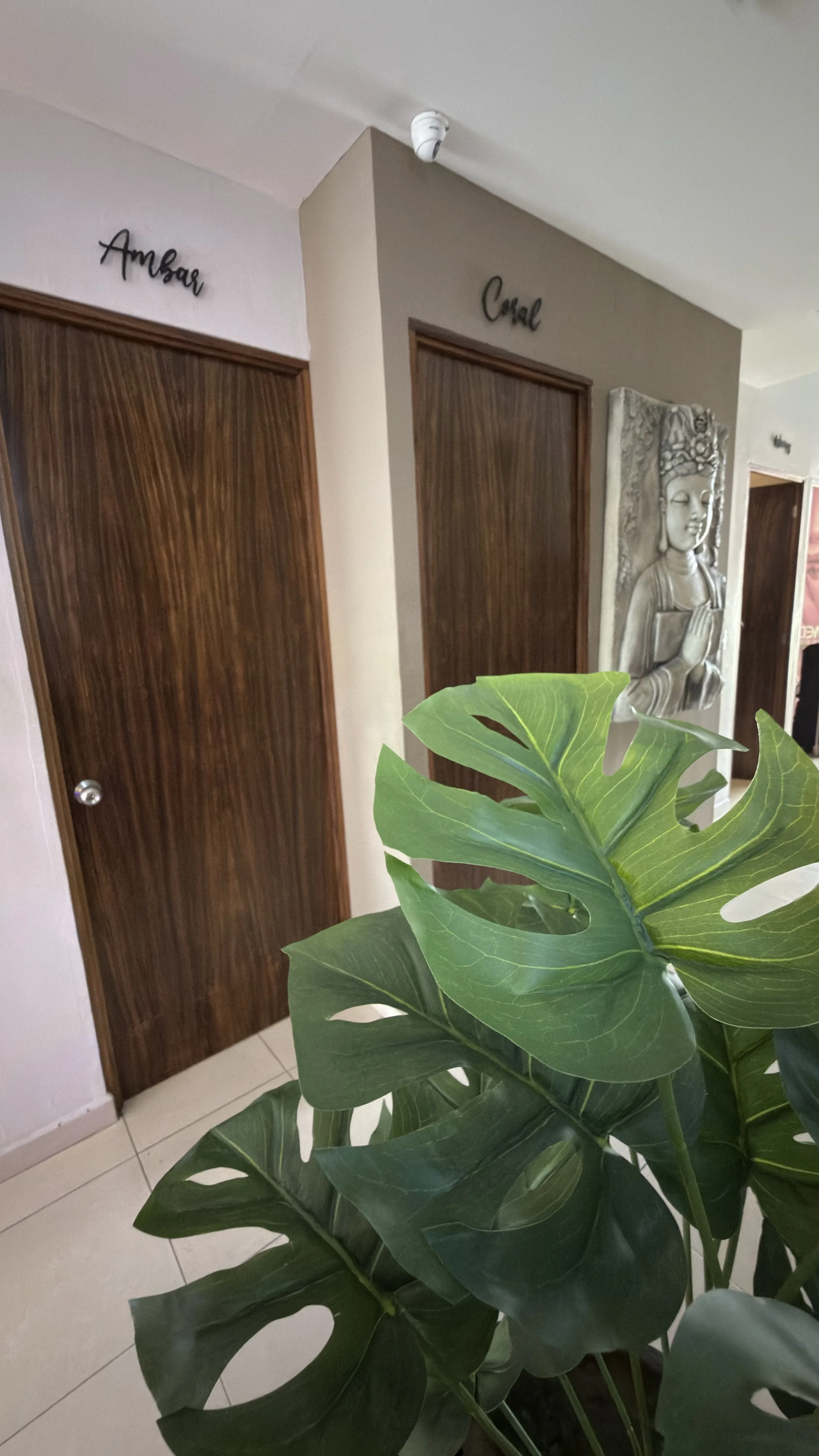 Vista de un pasillo con puertas de madera. Encima de cada puerta, un cartel con las palabras 'Ambar' y 'Coral'. Una escultura de una figura femenina en la pared y una planta grande en primer plano.
