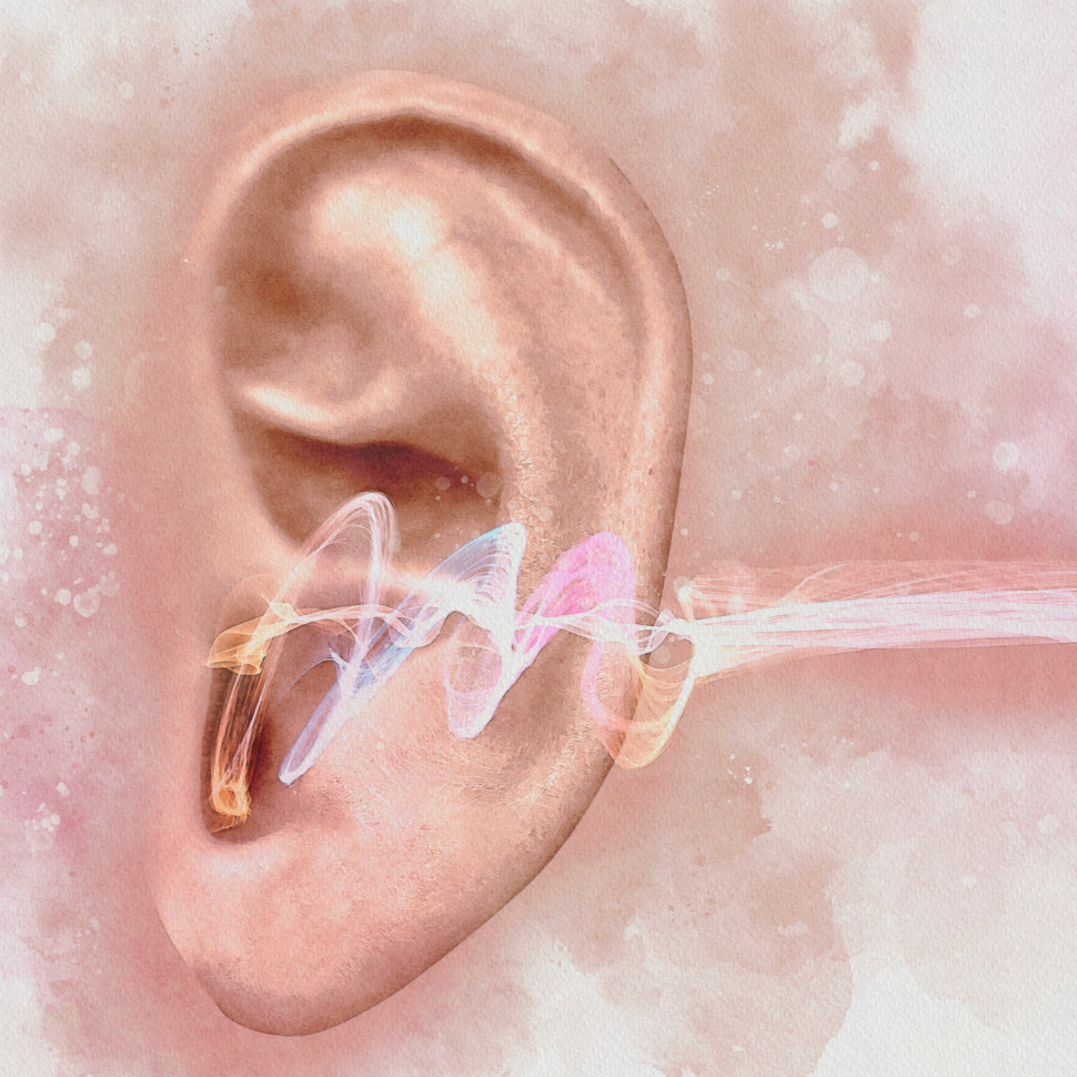 Tinnitus guide