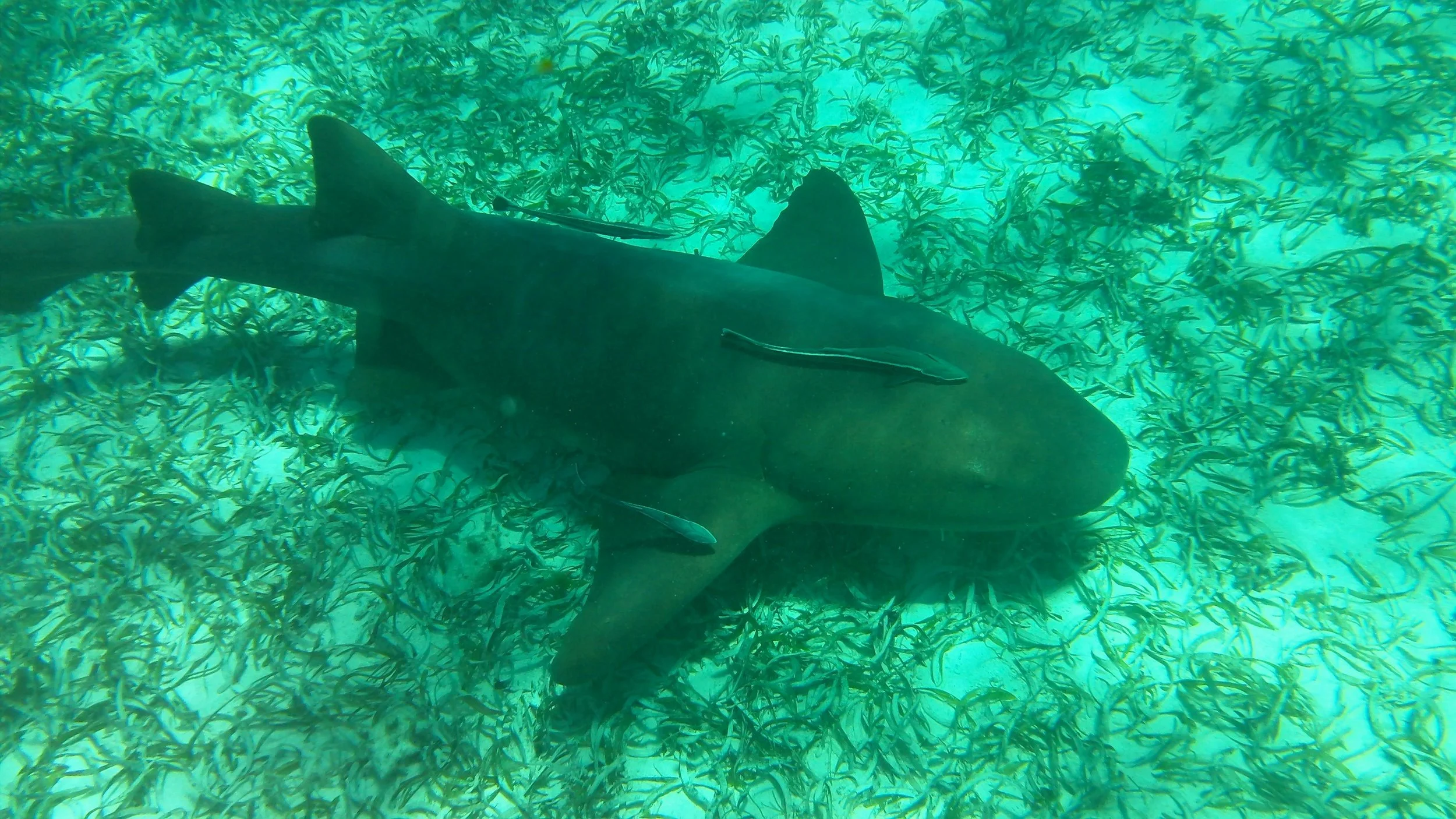 Spring Break 2011 790.jpg