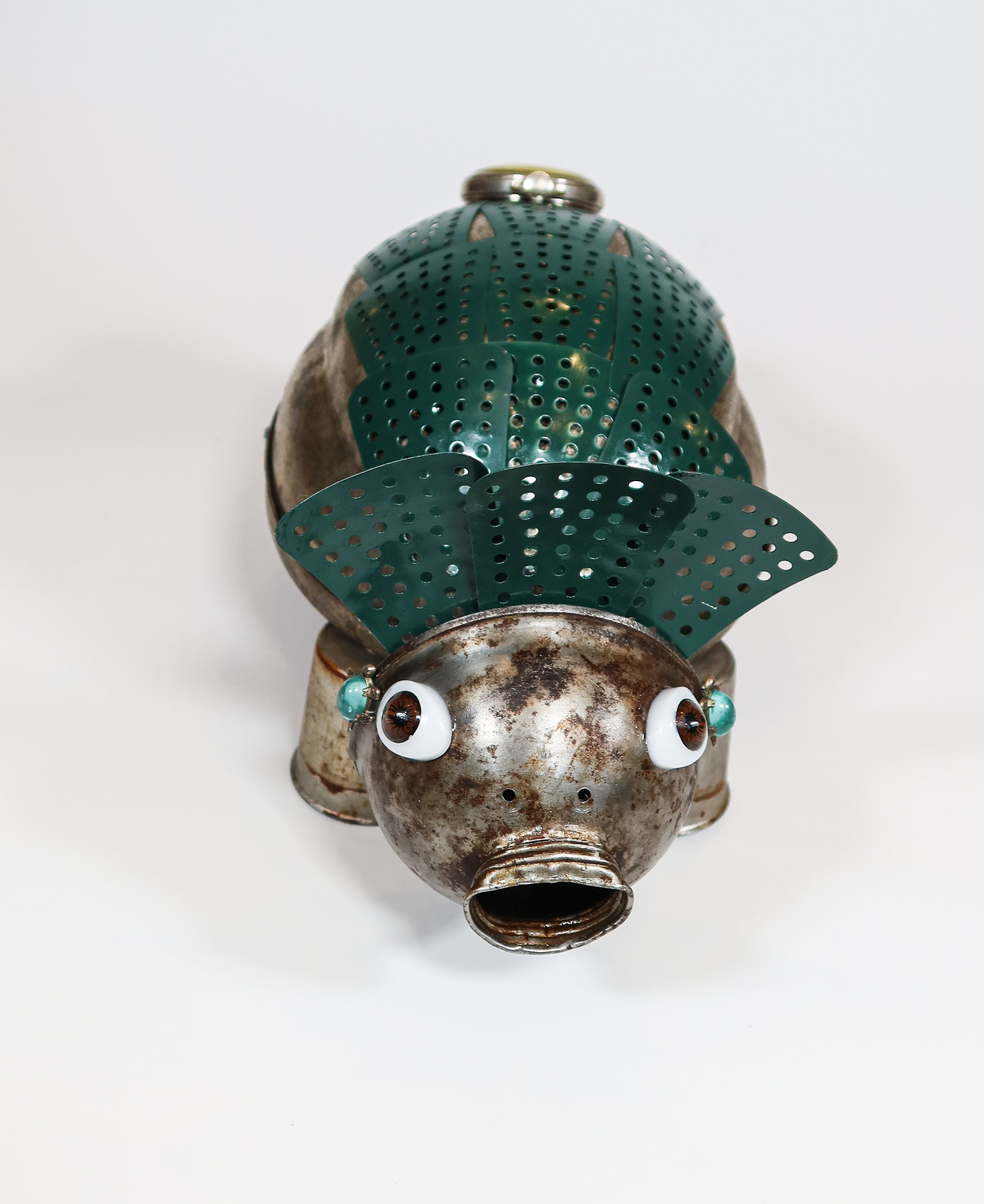 NFS. Found Tortoise #1; Shellie
In residence at the Artist's home.