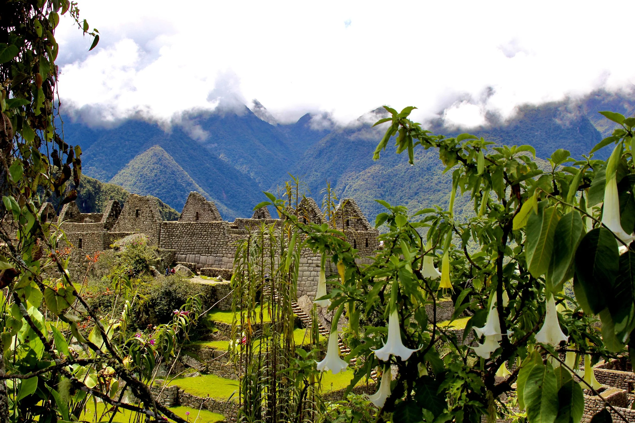 Peru  0176  2012-04-02  12-36-11 copy.jpg
