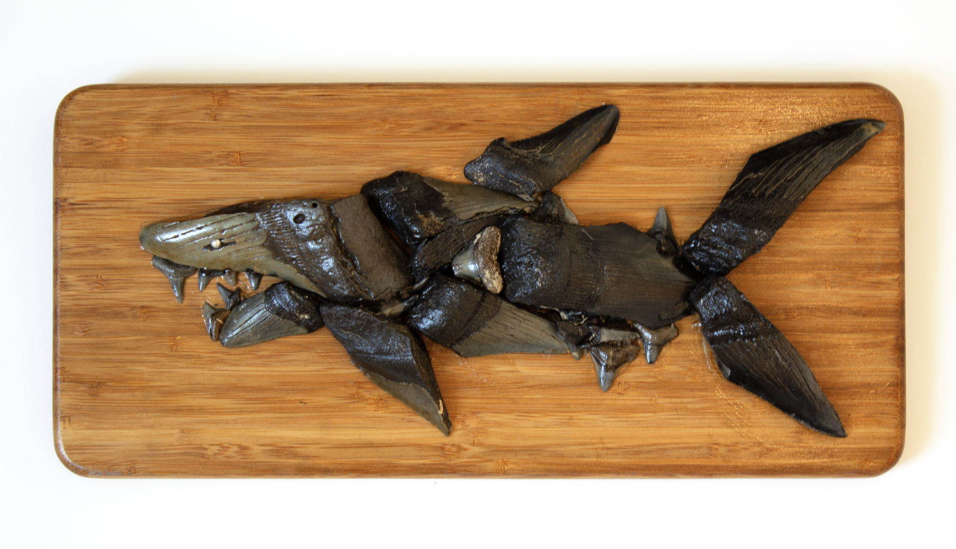 AVAILABLE. "Megalo Meta Shark"
Constructed from genuine fossilized Megalodon and shark teeth, one steel ball bearing, and an old cutting board as the base.
The Megalodon teeth are remnants of Carcharocles Megalodon, an enormous shark (up to 60 feet