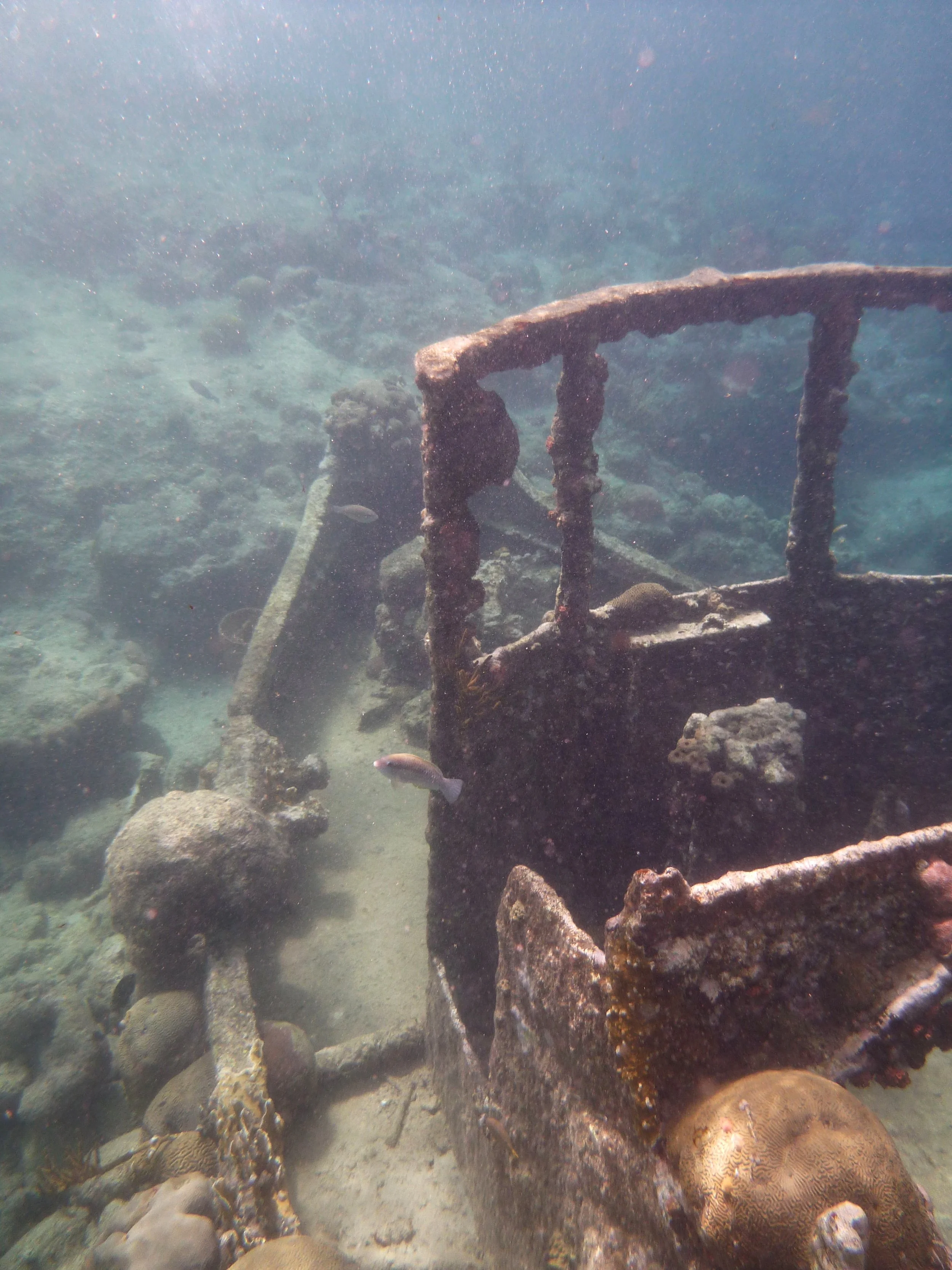 Curacao  592.jpg