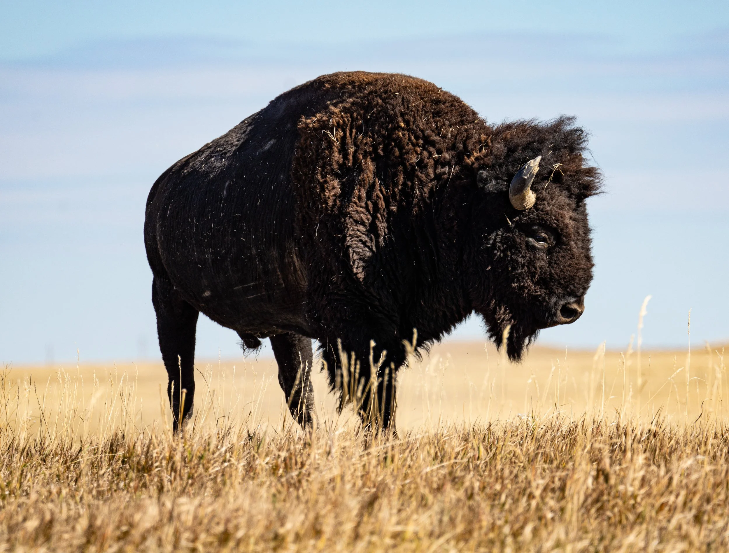 compressed for portfolio-21.jpg