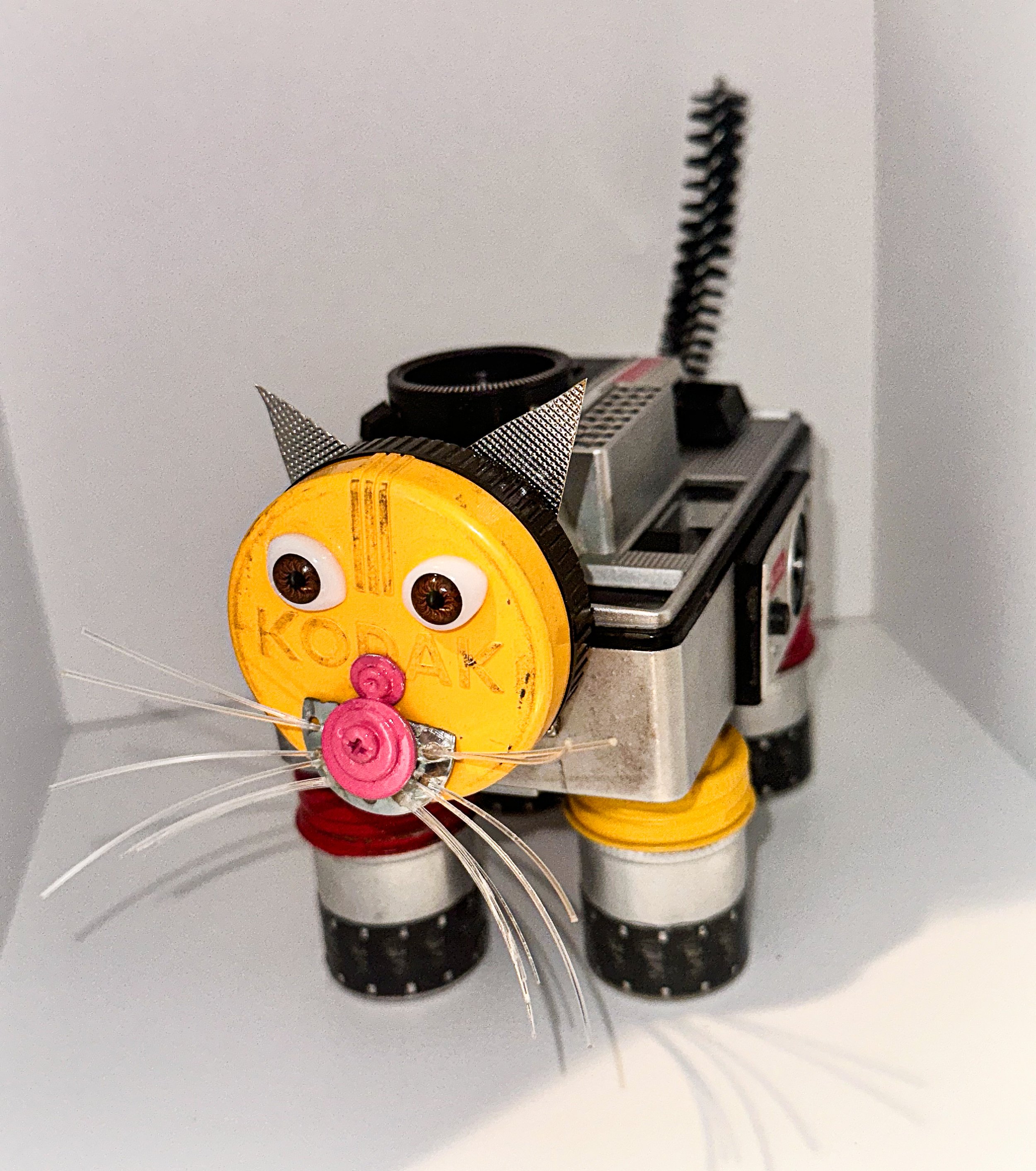 SOLD. Kodak Cat