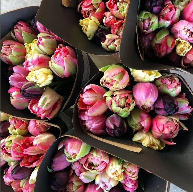 FARM+N+FLOWER2.jpg