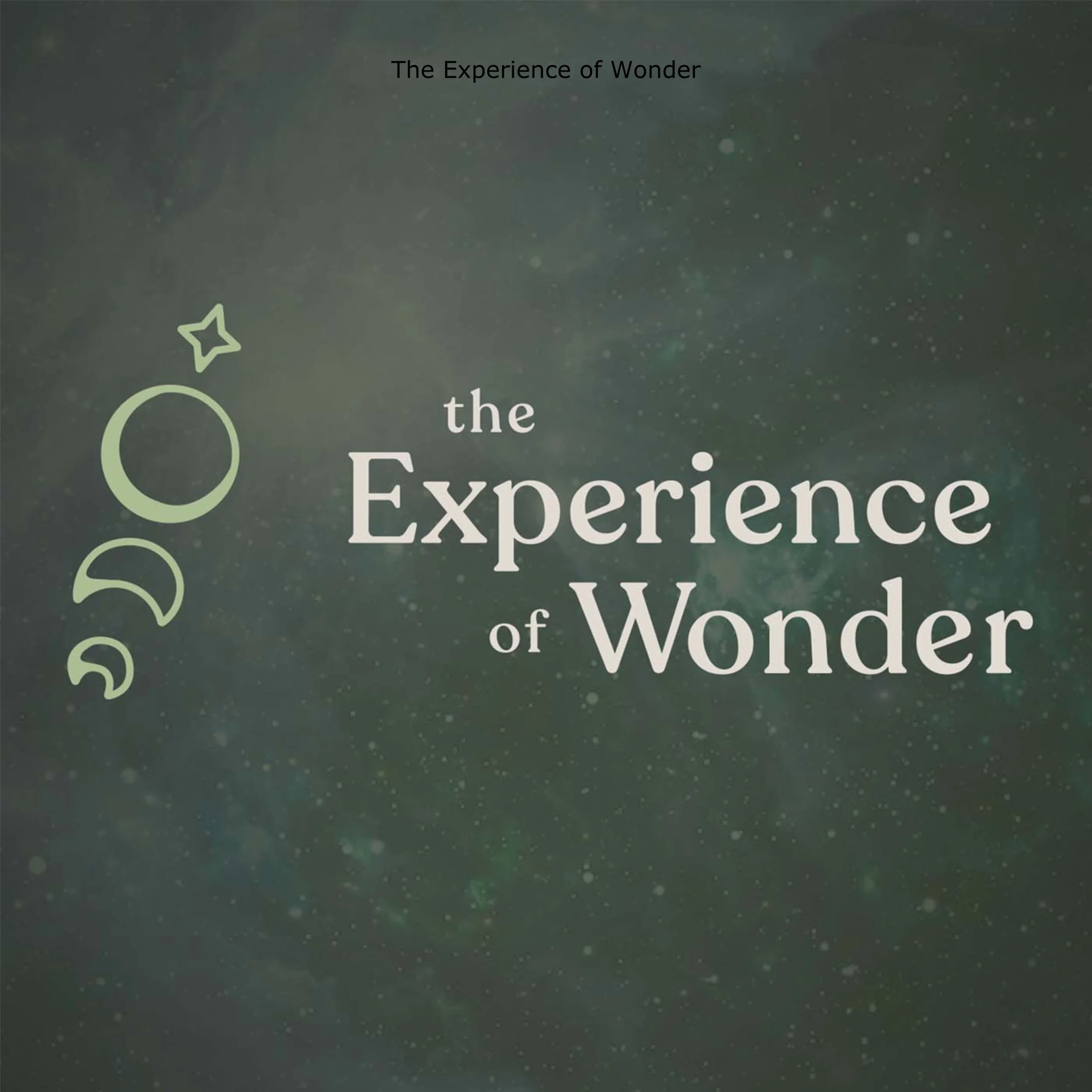 The Experience of Wonder.jpeg