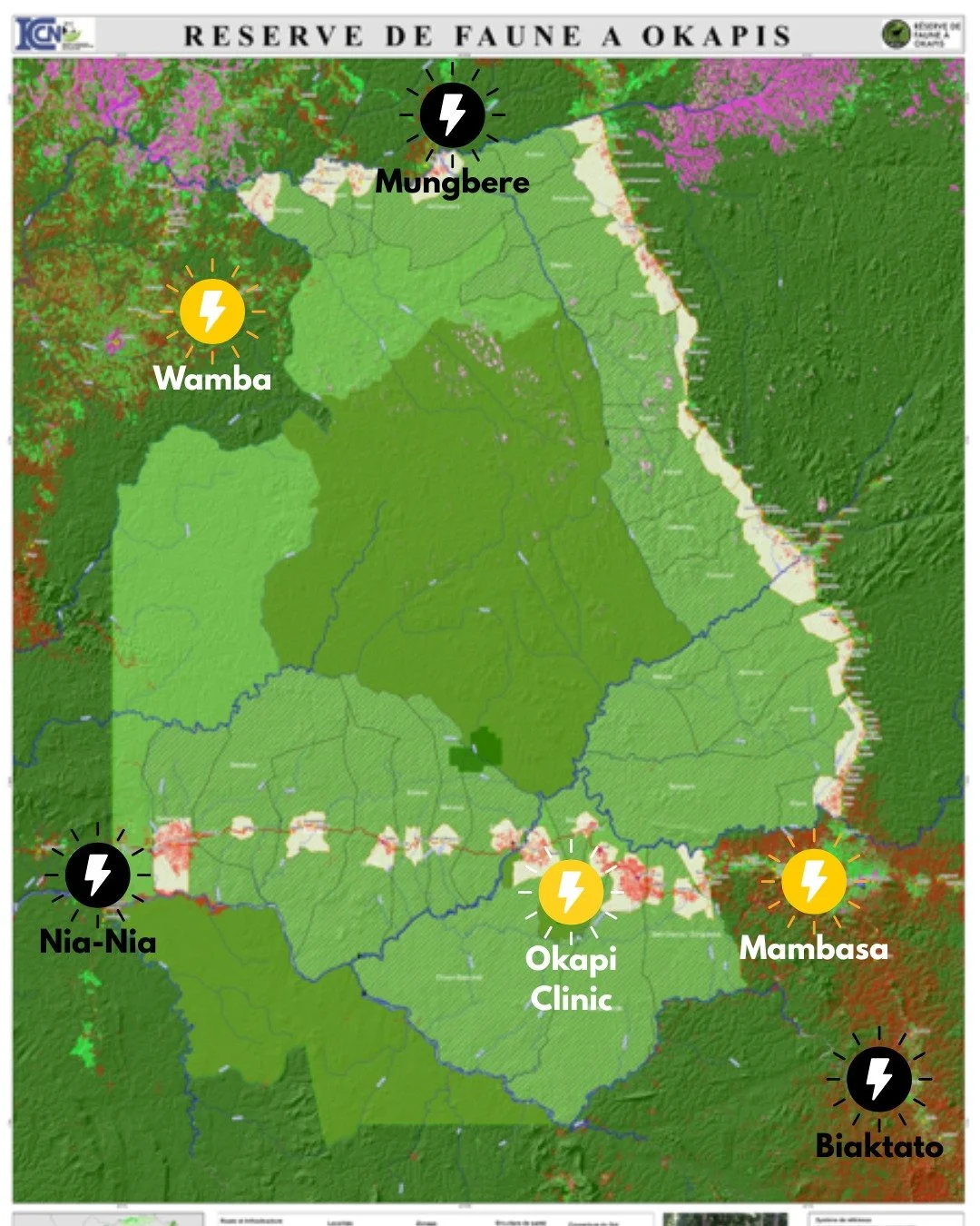 Thanks to your generosity, the forest is getting brighter.

A few weeks ago, we launched our Giving Tuesday campaign to raise $36,000 to install solar systems at six key Okapi Conservation Project (OCP) sites across the Ituri Forest. We&rsquo;re thri
