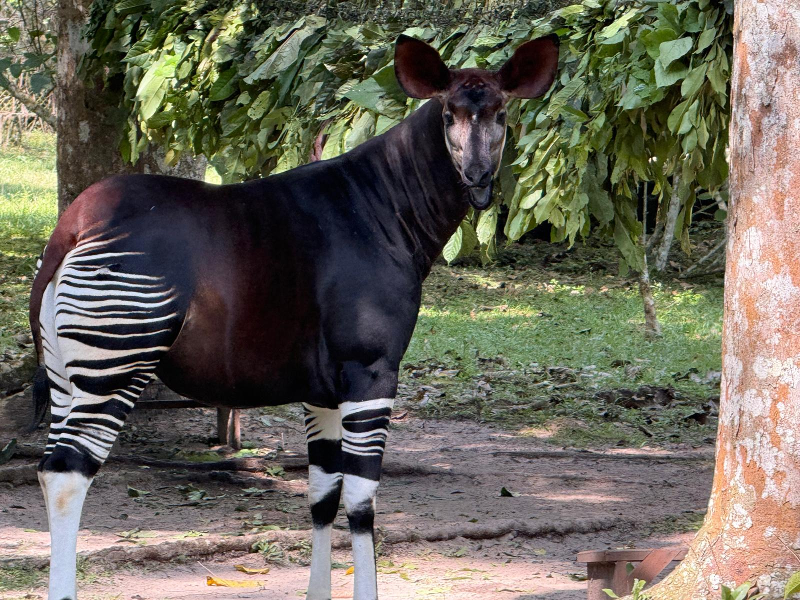 Tundana Update: January 2026