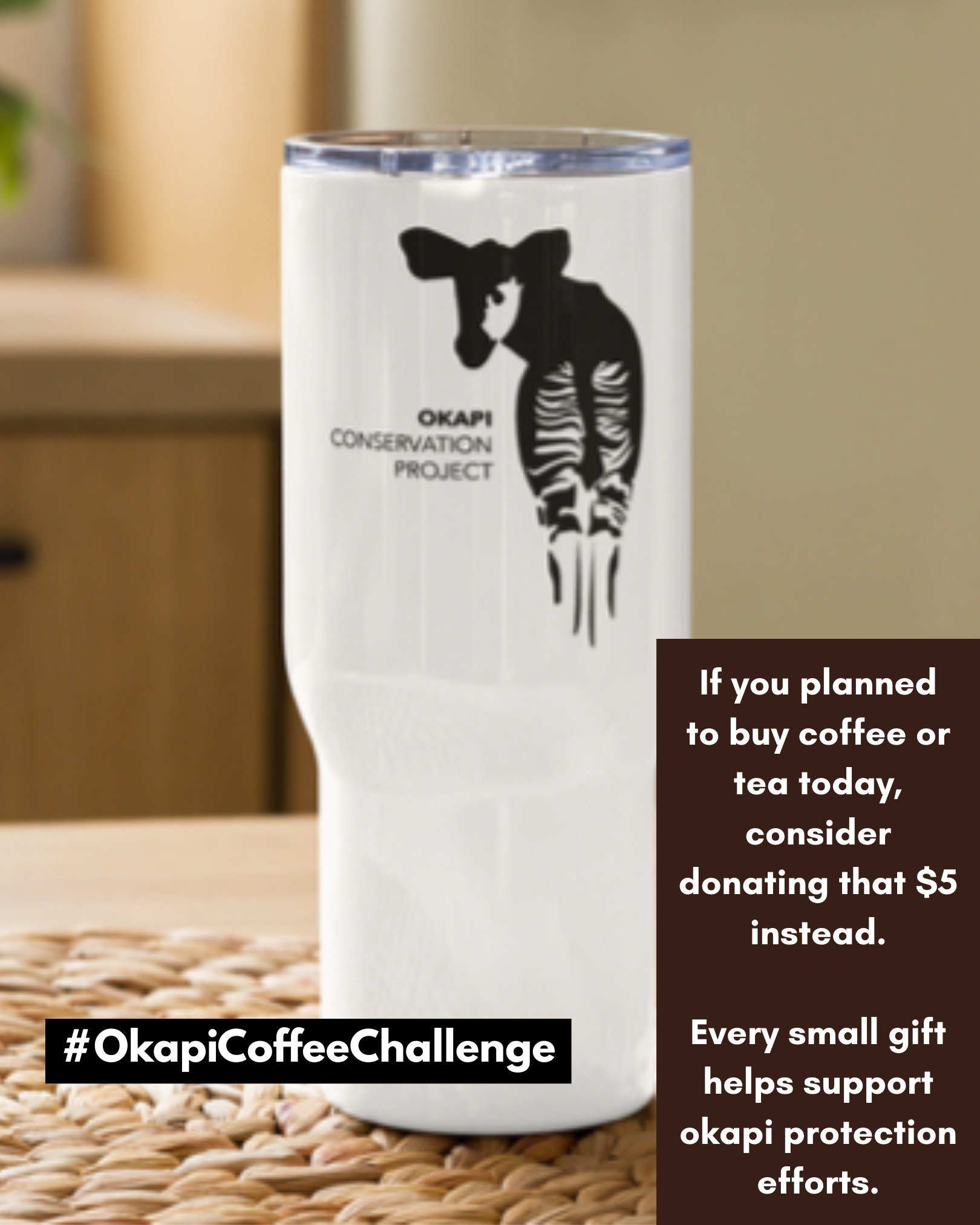 During Caffeine Awareness Month, trade your latte for a lifeline.

Skip one cup of coffee or tea today and donate the $5 you would have spent. Your simple choice helps protect okapi and supports conservation teams working every day in the field.

If 