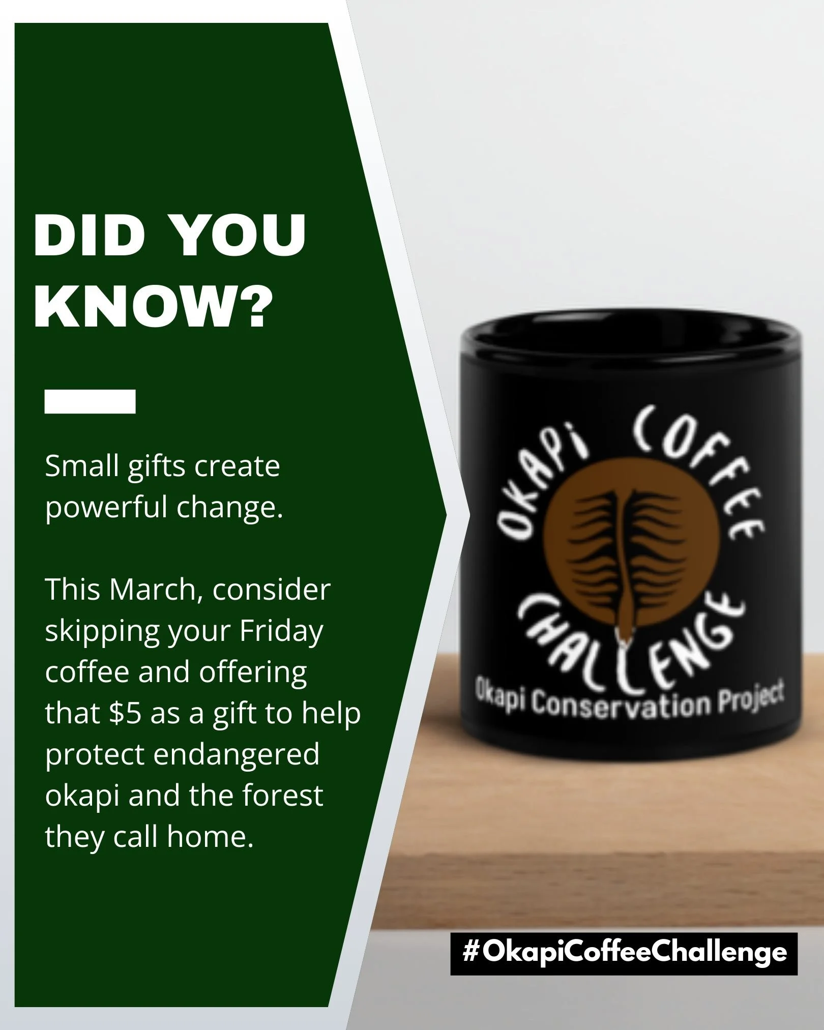 Halfway through March, your Friday choices are already making a difference. We&rsquo;ve already raised $,1000 for essential, on-the-ground programs.

This Friday, skip your usual cup and donate $5 to support conservation efforts in the Ituri region. 