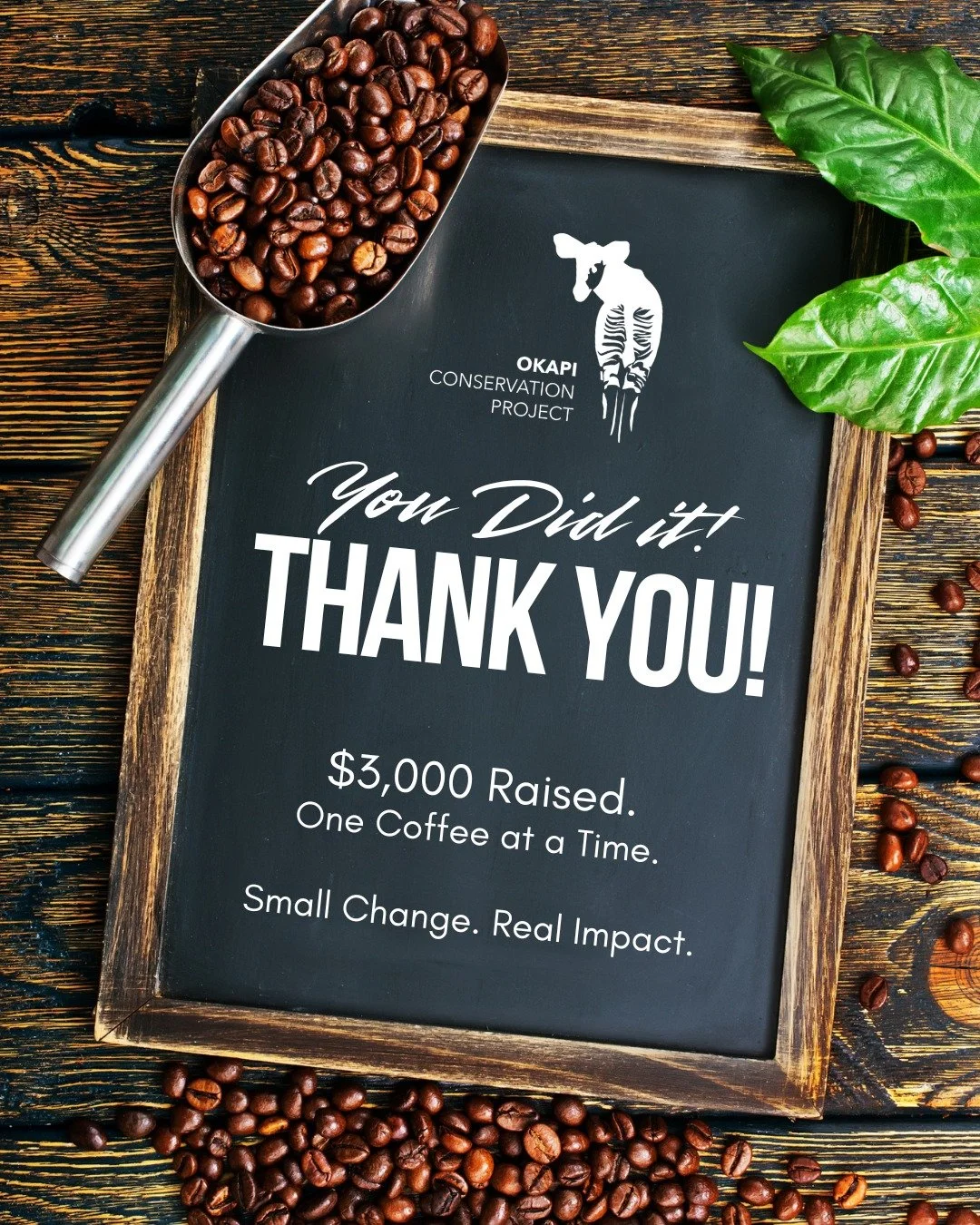 Together, this community raised $3,000 for critical okapi conservation projects in the Ituri &mdash; and we are so grateful. The mission continues, and so does our gratitude. Thank you.