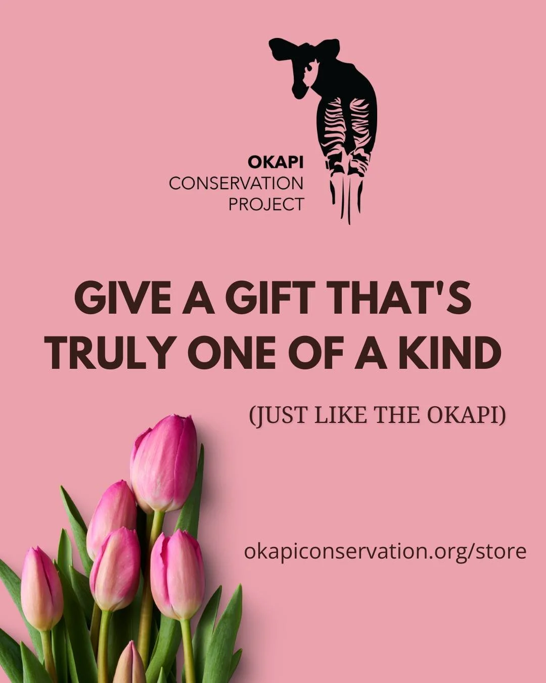 Looking for a Mother's Day gift that's actually unique? Cards, soy candles, clothing and more, all supporting okapi conservation in the Congo.