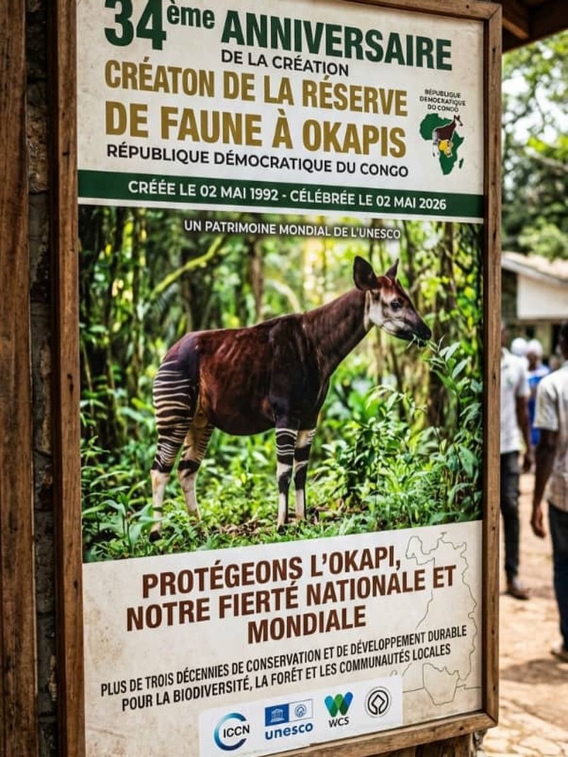 Big milestone here! 34 years ago today, the Okapi Wildlife Reserve was created!