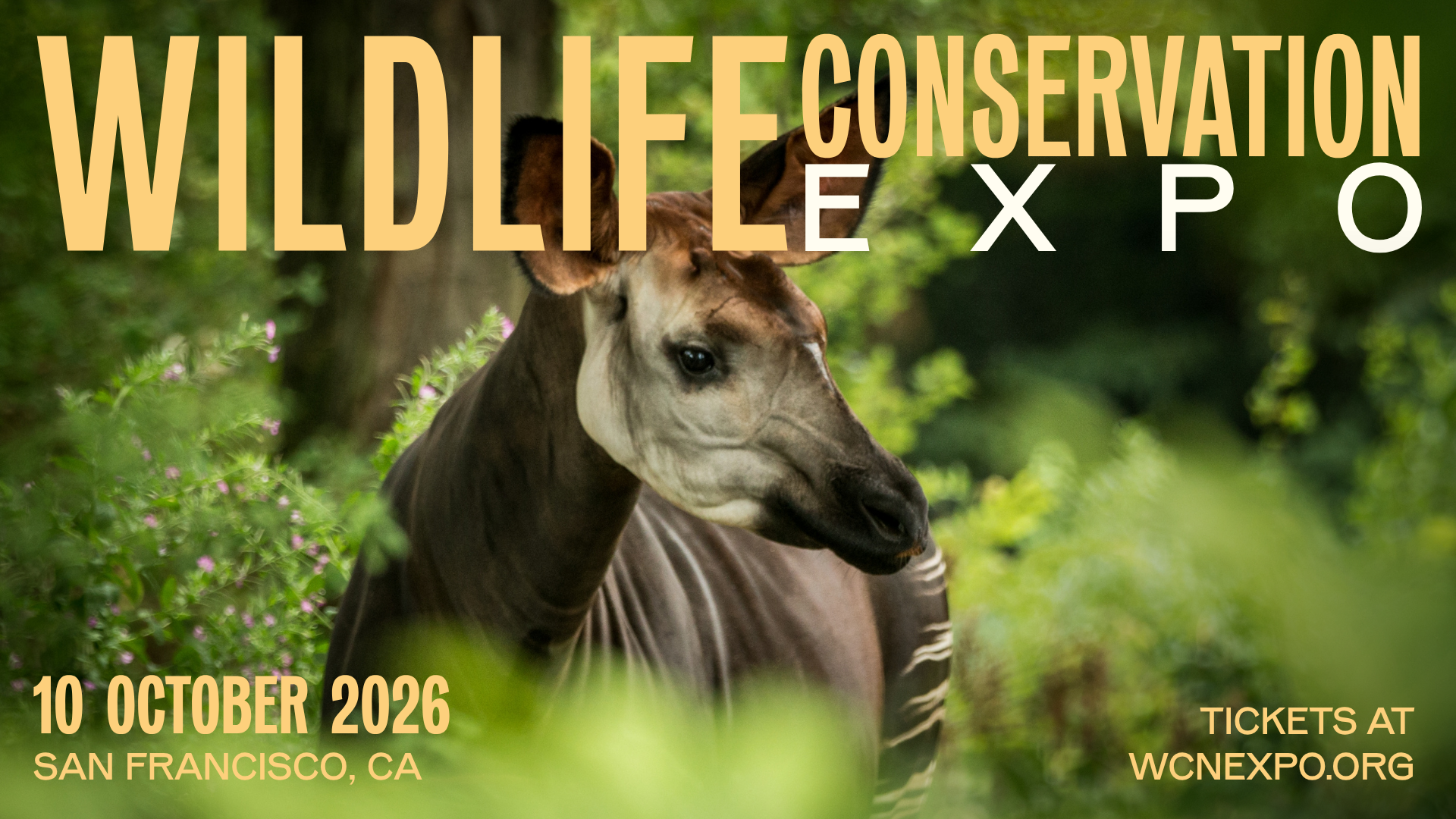 Join John Lukas and the OCP team at the Wildlife Conservation Expo — October 10 in San Francisco